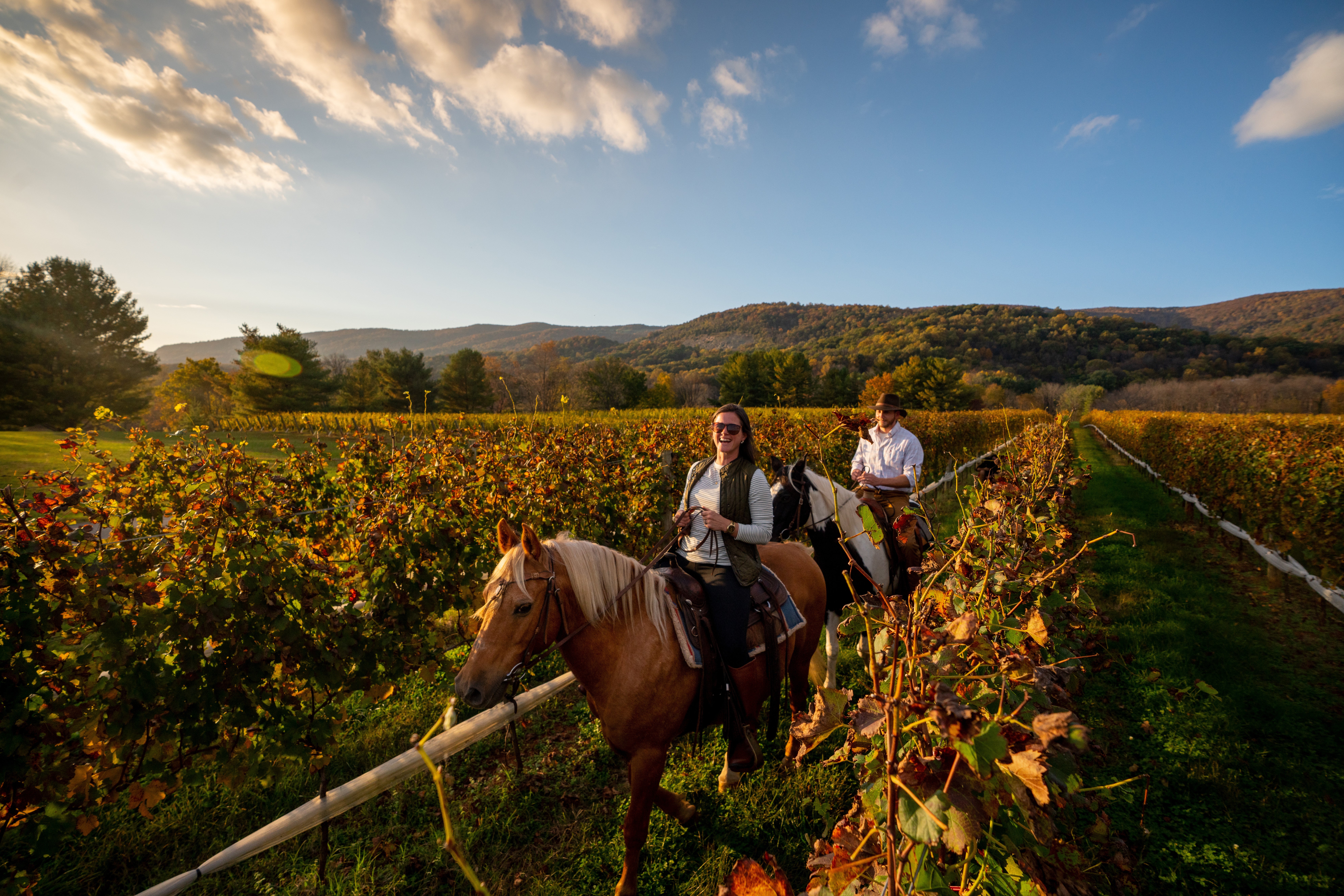Saddle up in Virginia wine country for a unique perspective on the State’s stunning landscapes