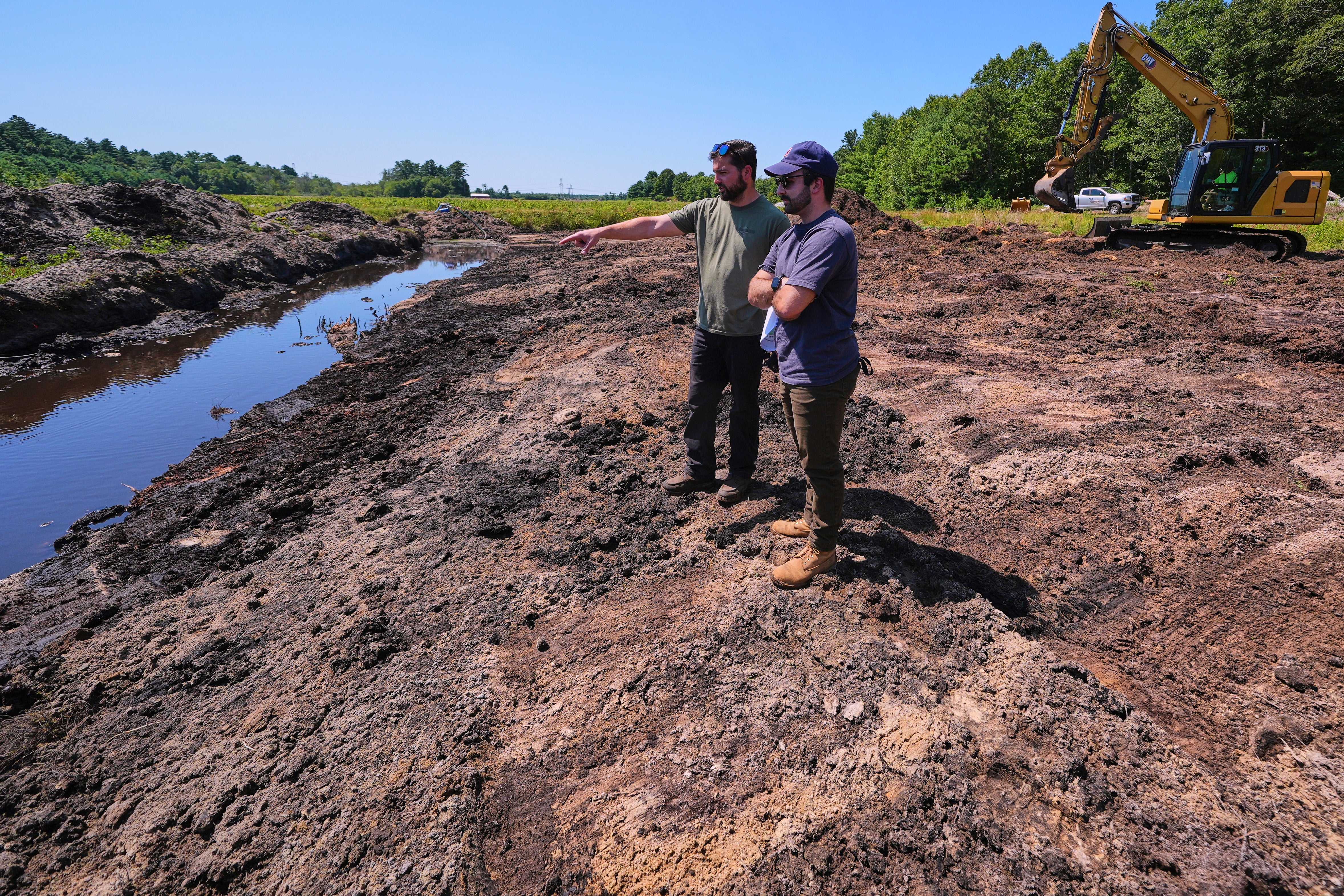Cranberry Bogs Back to Nature