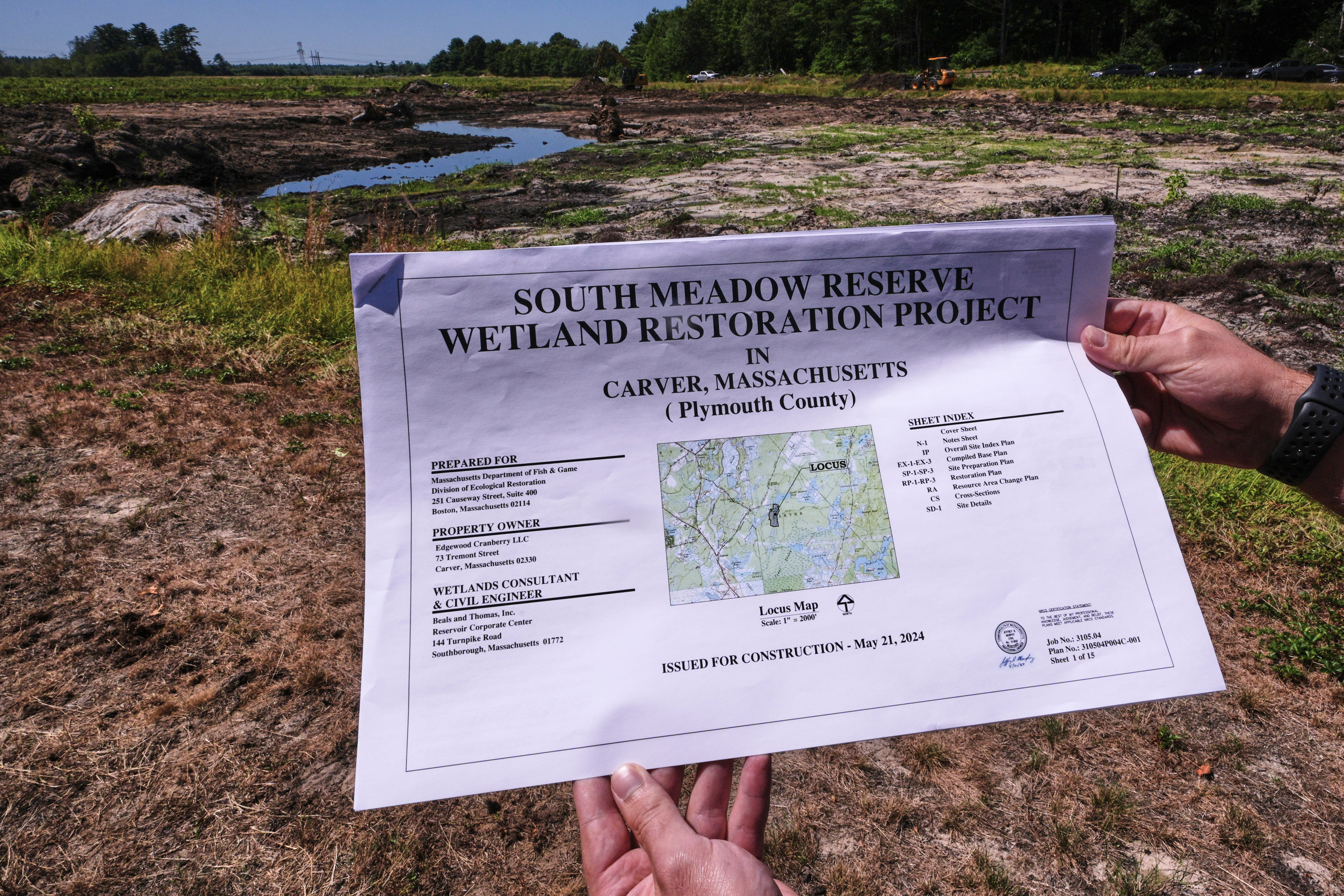 Cranberry Bogs Back to Nature