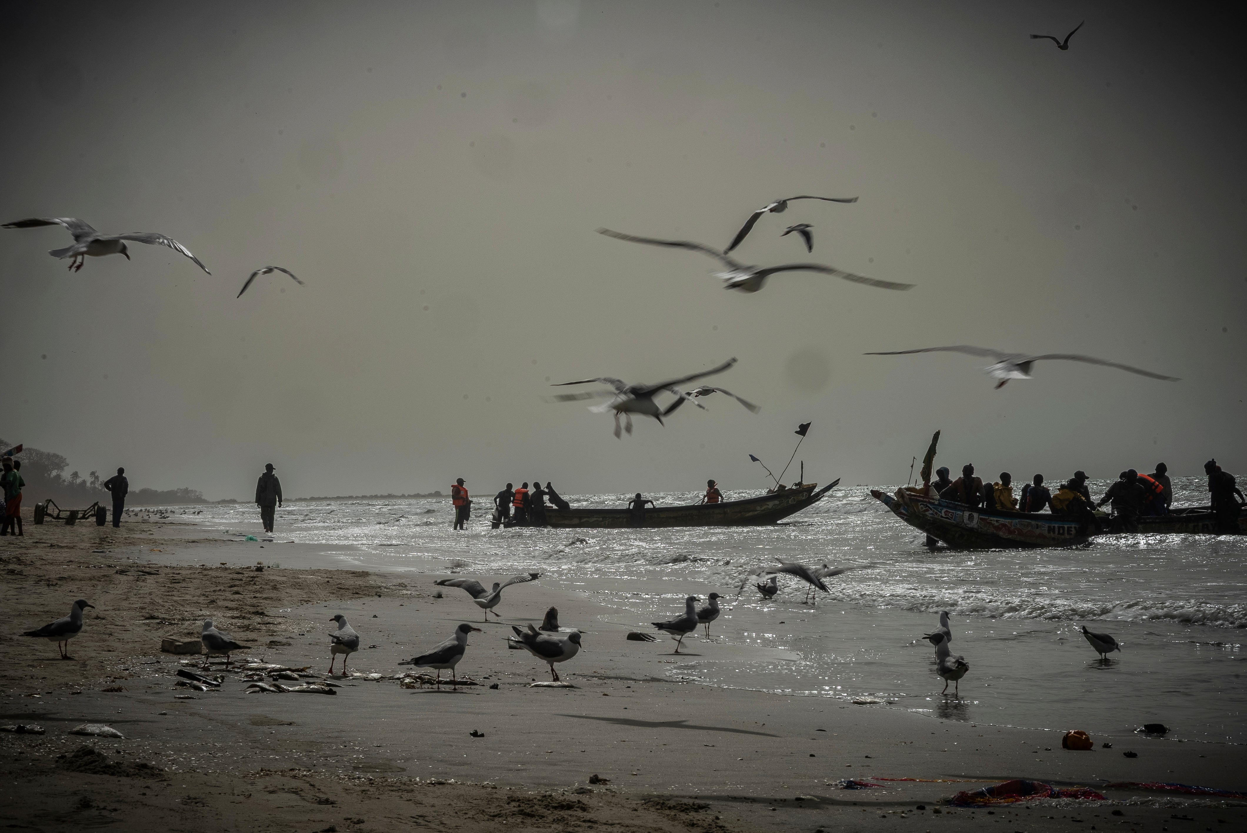 Ocean-Fisheries-The Fishing War