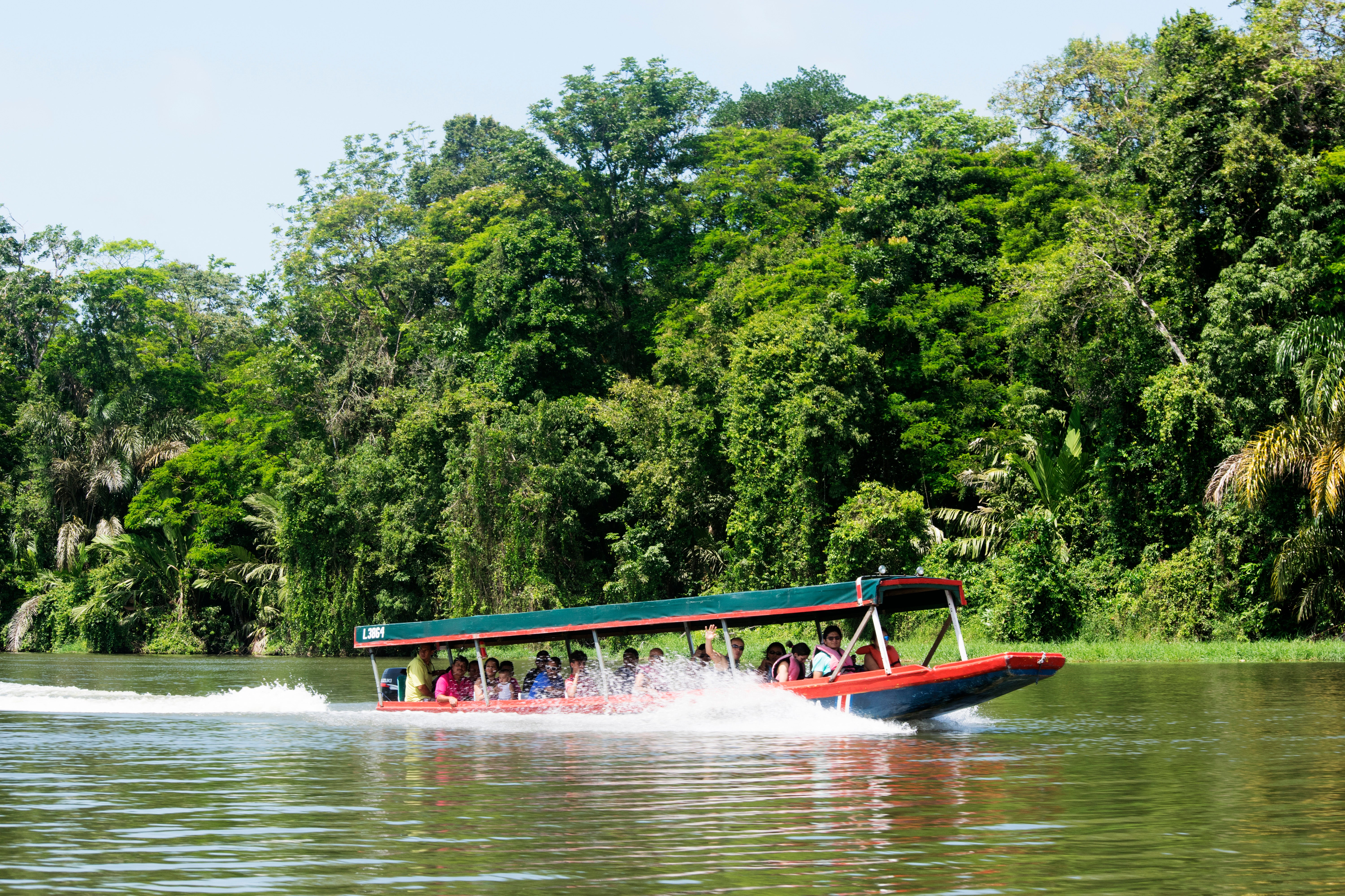 Enjoy a boat trip around the waterways of Tortuguero National Park, home to green sea turtles
