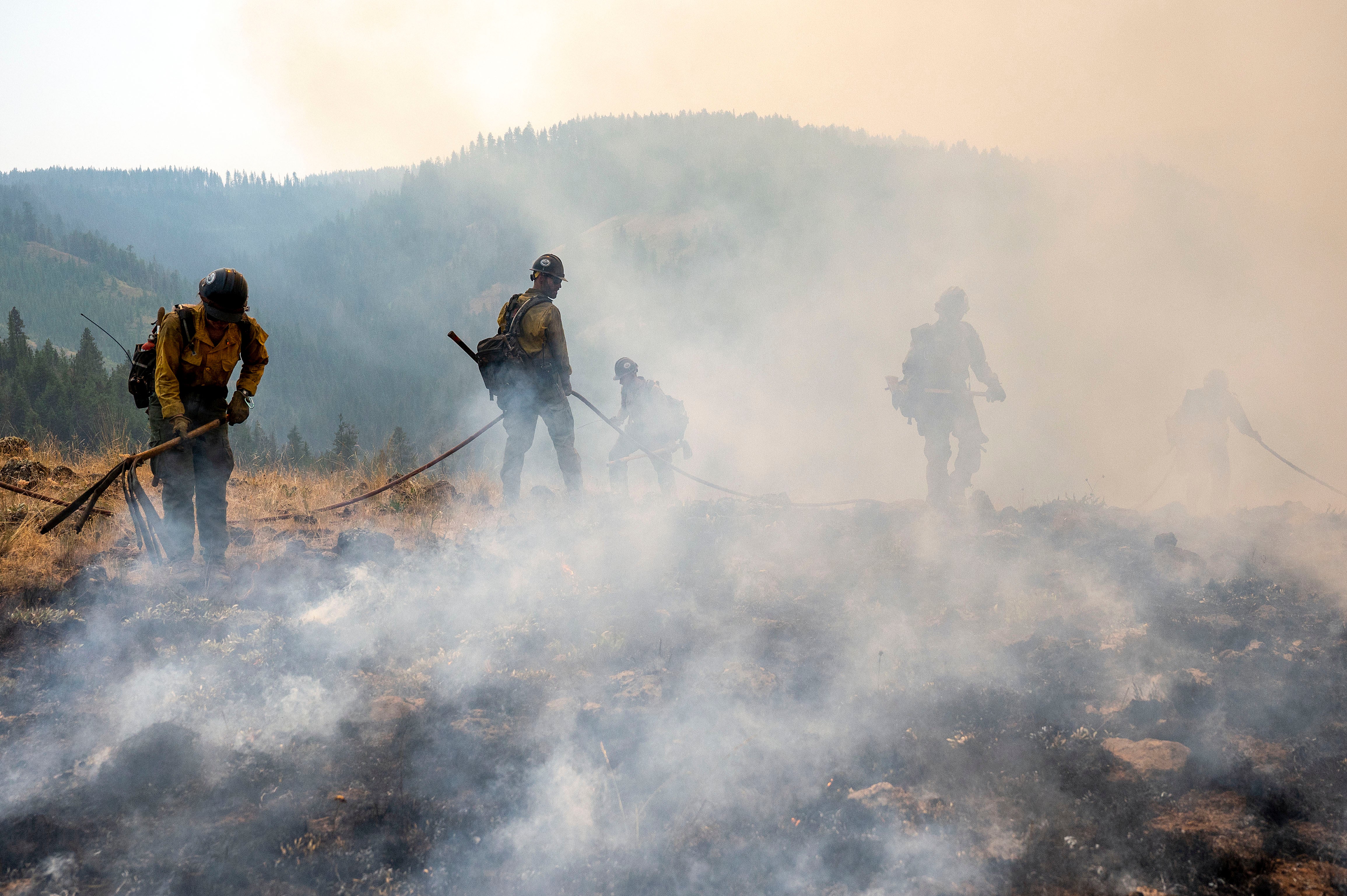 Immigration-Border Patrol-Firefighters
