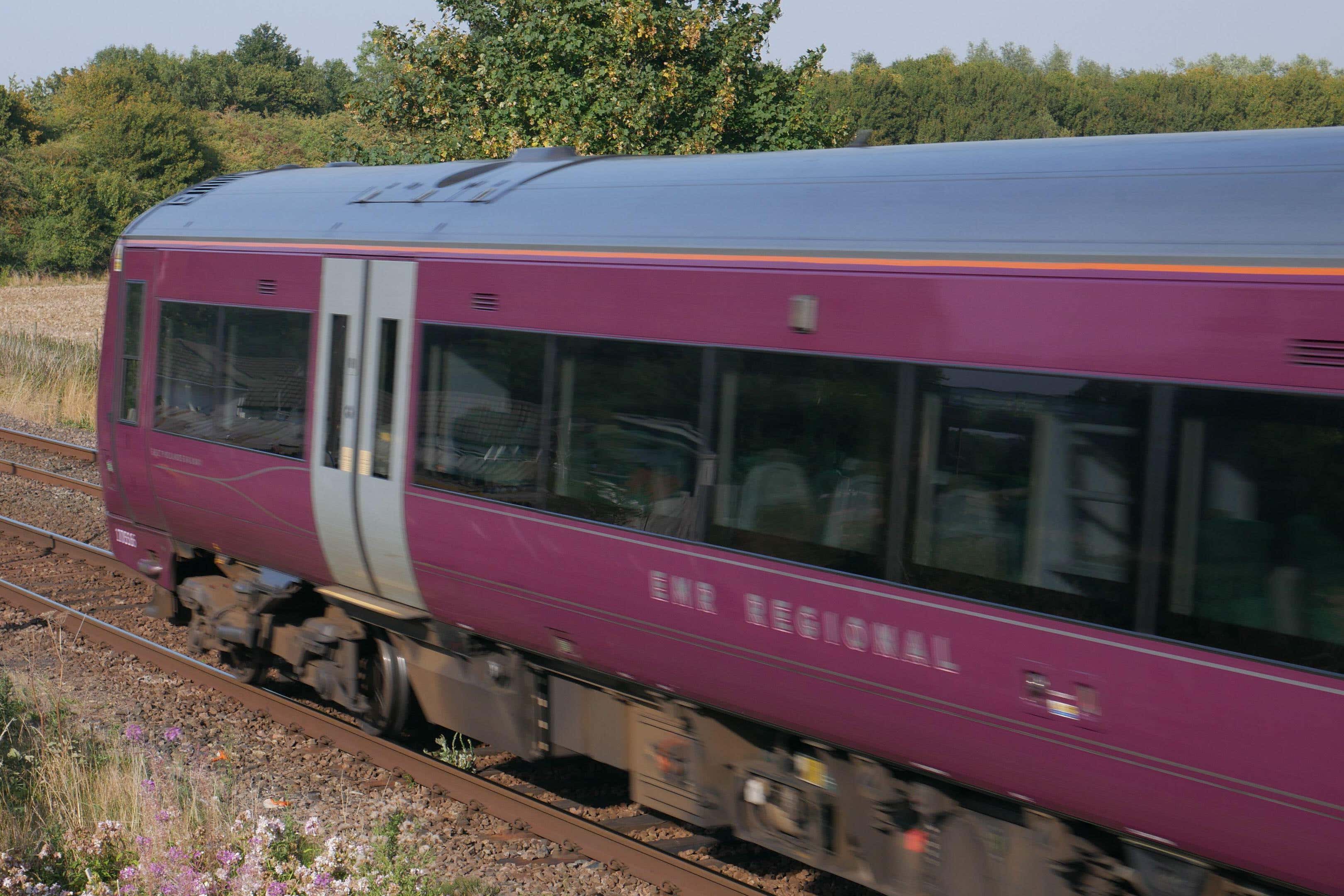 A train was disrupted by people trying to hang flags from bridges, a passenger reported (Alamy/PA)