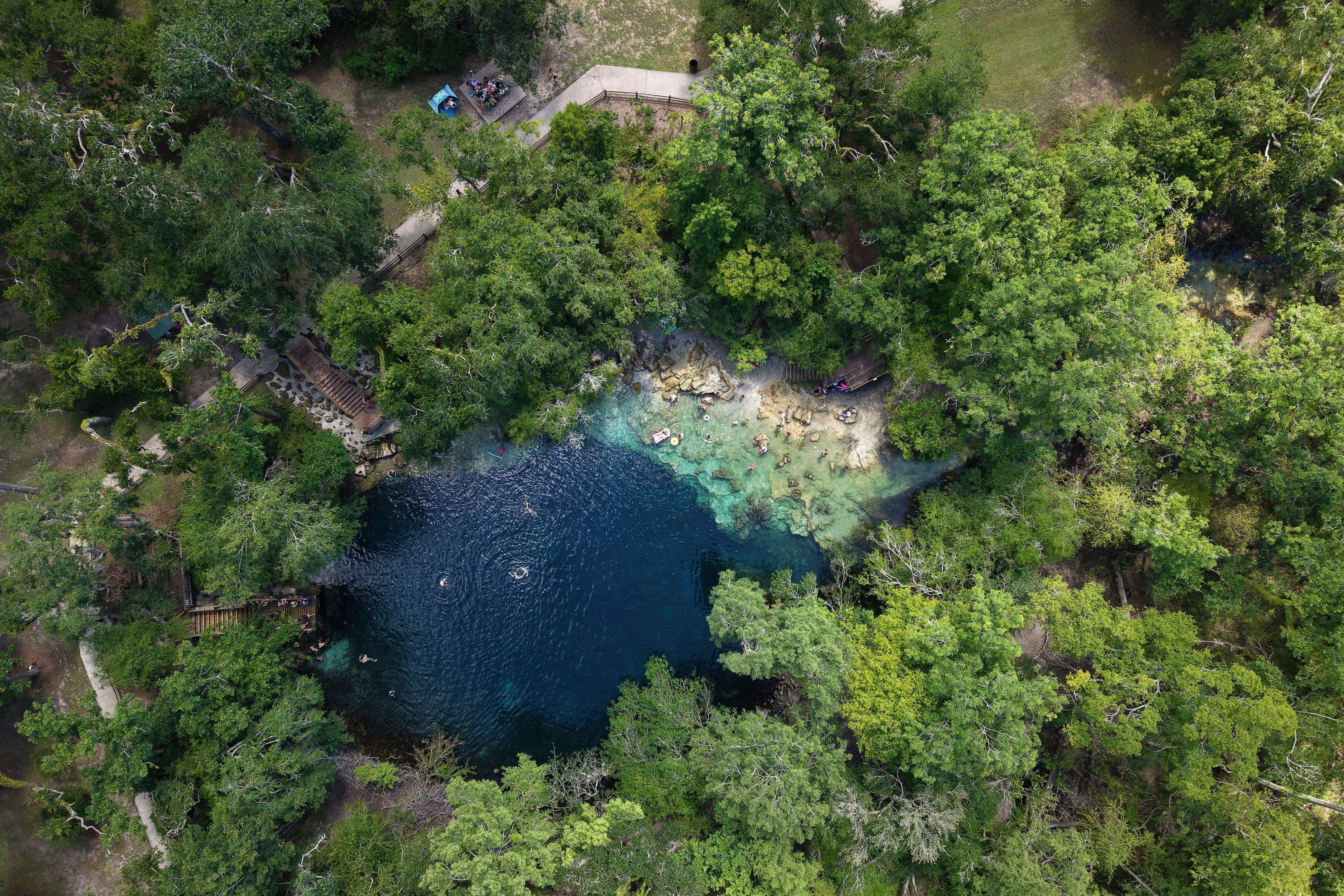 Florida's once-pristine springs threatened by pollution, development and climate change