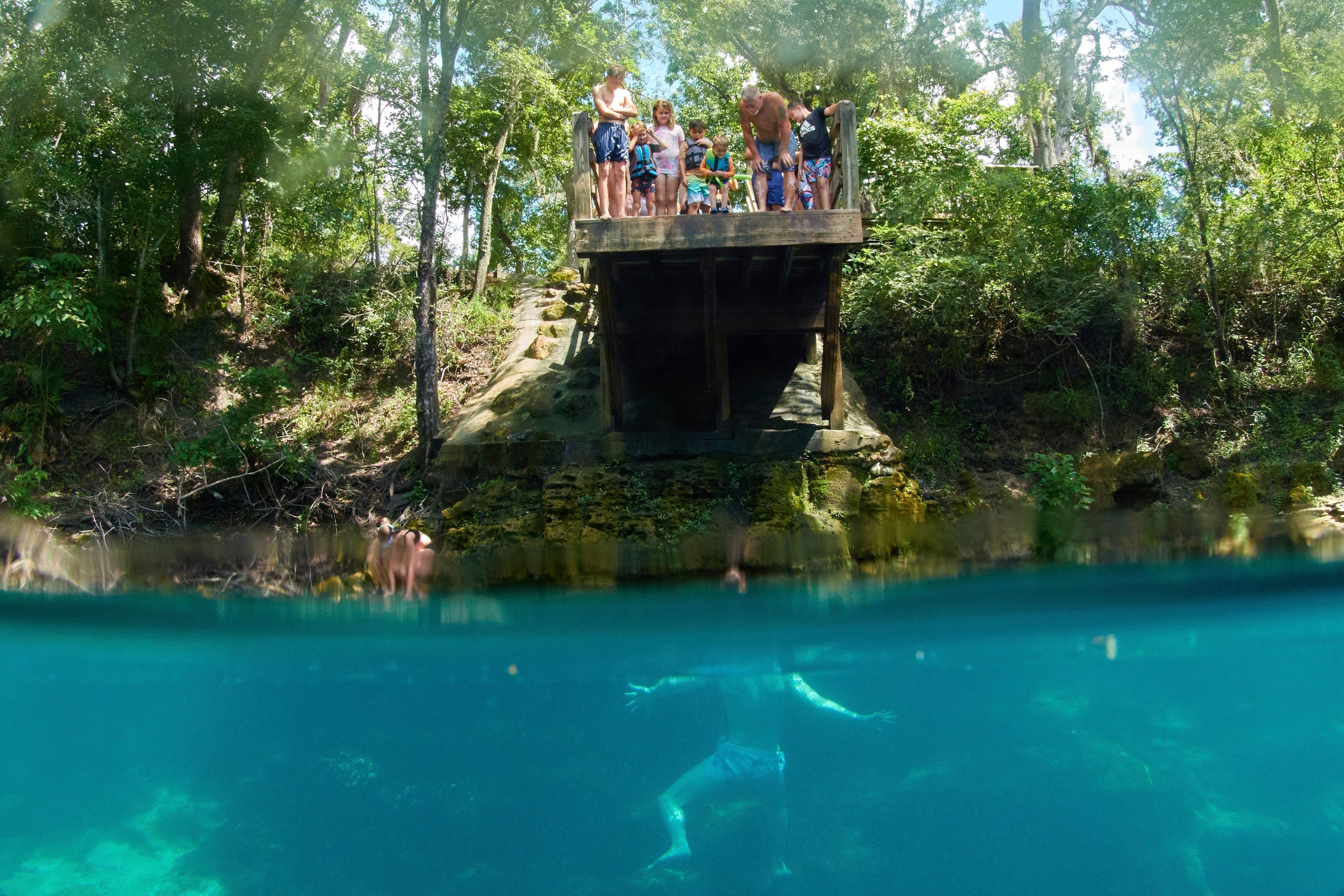 Climate Florida Springs