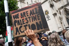 Government accused of ‘cynical media campaign’ in Palestine Action legal battle