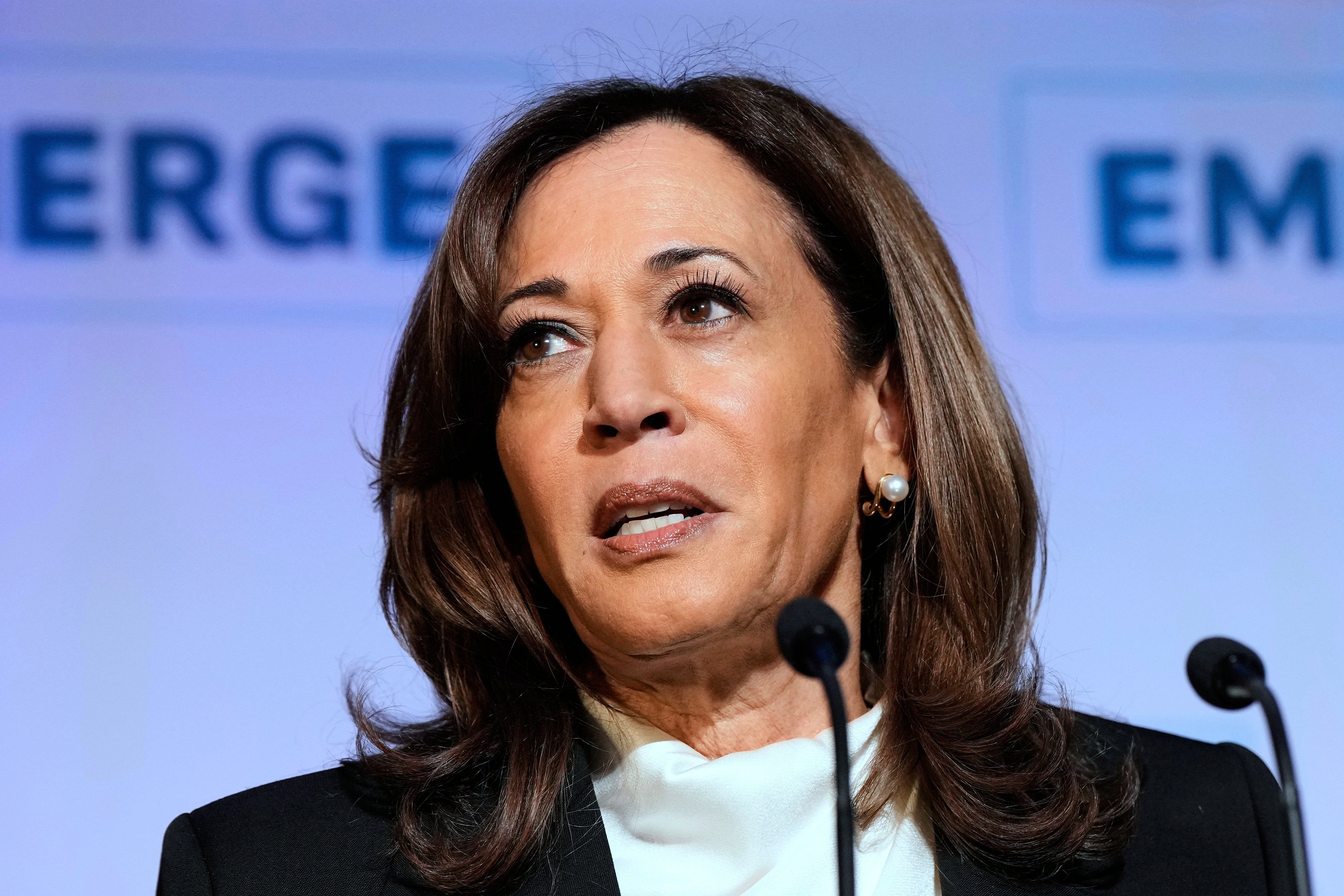 Former Vice President Kamala Harris has lost her Los Angeles Police Department security detail after the city faced backlash from a police advocacy organization