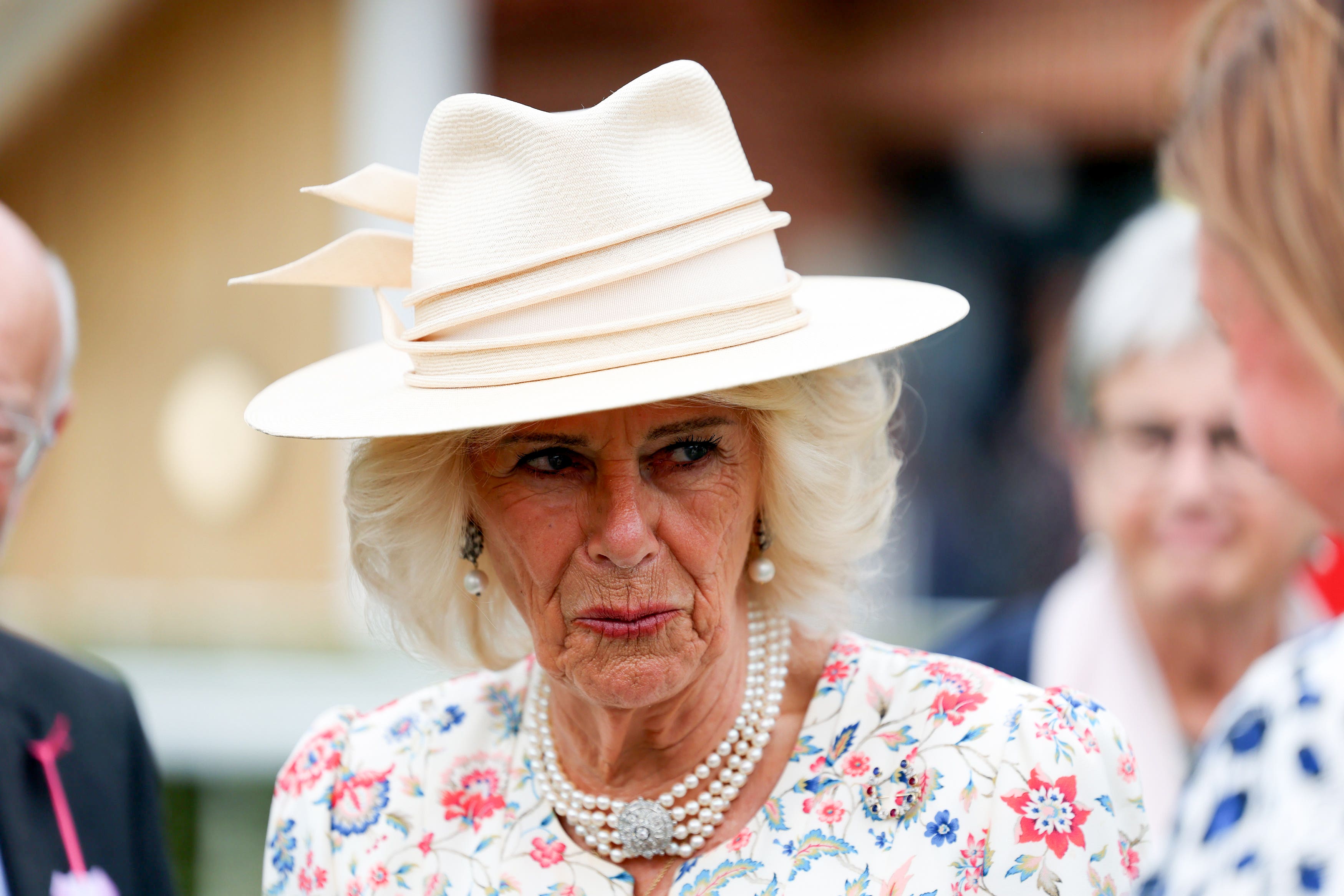 Queen Camilla has long campaigned against sexual and domestic violence