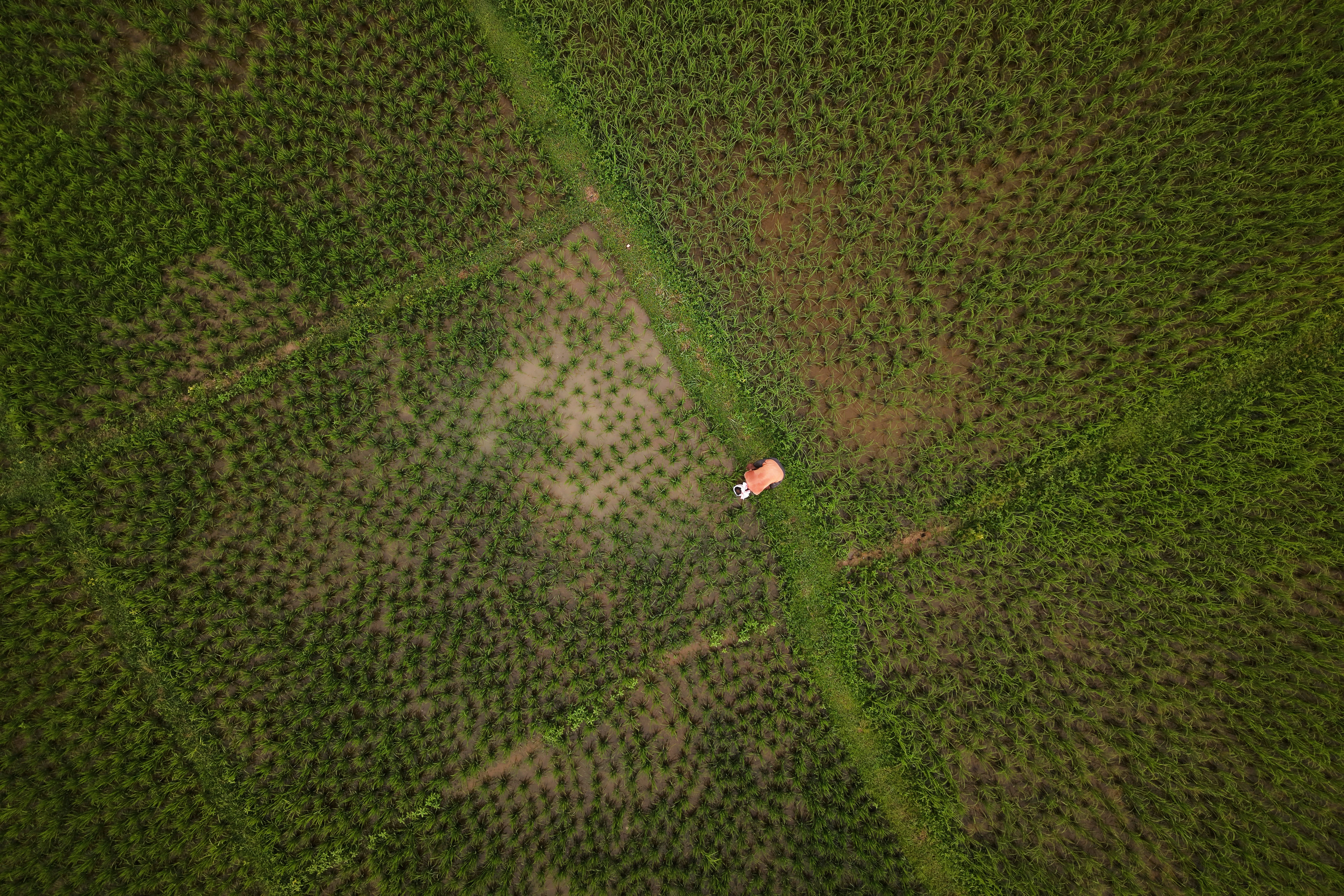 APTOPIX India Daily Life