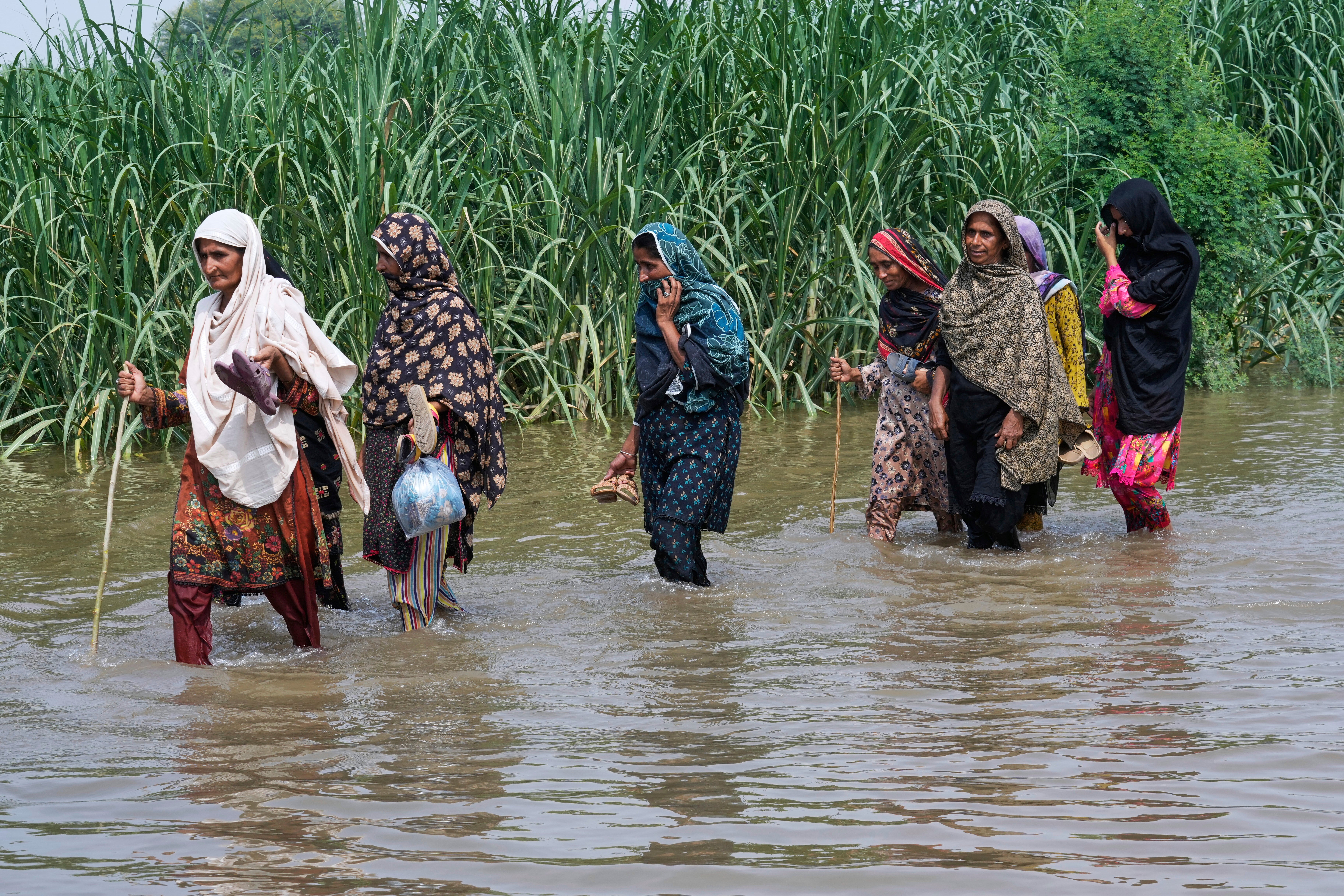 Women wade through a flooded field in Muza Islam Wala, in Jhang district, Pakistan