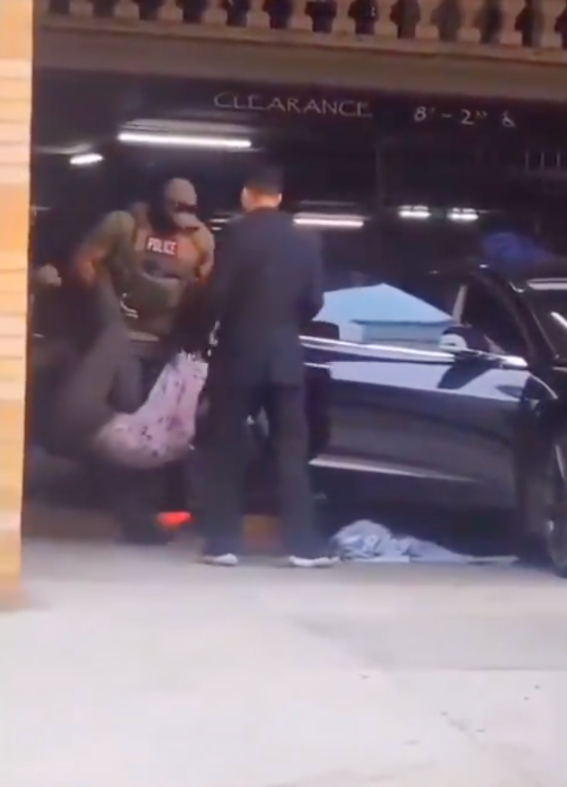 Martinez was pulled out of her Tesla by federal agents