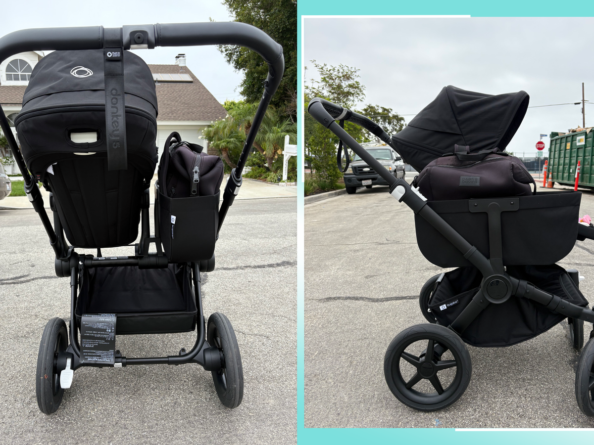 best ergobaby carrier Omni Deluxe Baby for Newborn to Toddlers 0-48 Months 661 Evo AM MIPS Color:Blue Sea the carrier includes an jig fishing