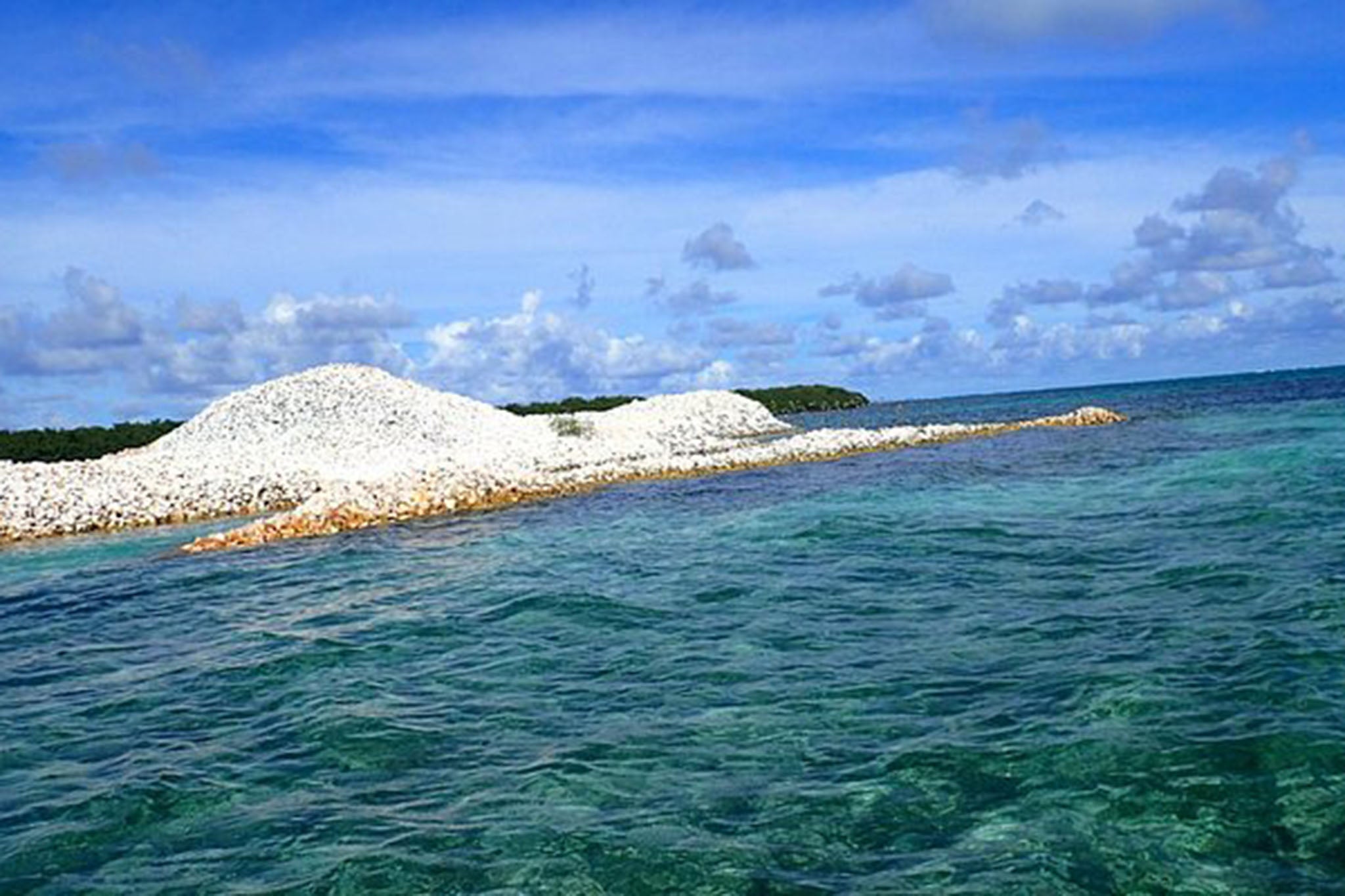 Police say the child was bitten while swimming off Key Largo, Florida, on the oceanside