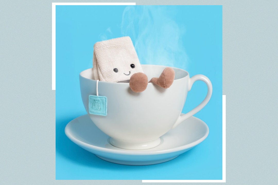 The Jellycat steepy tea bag costs £25