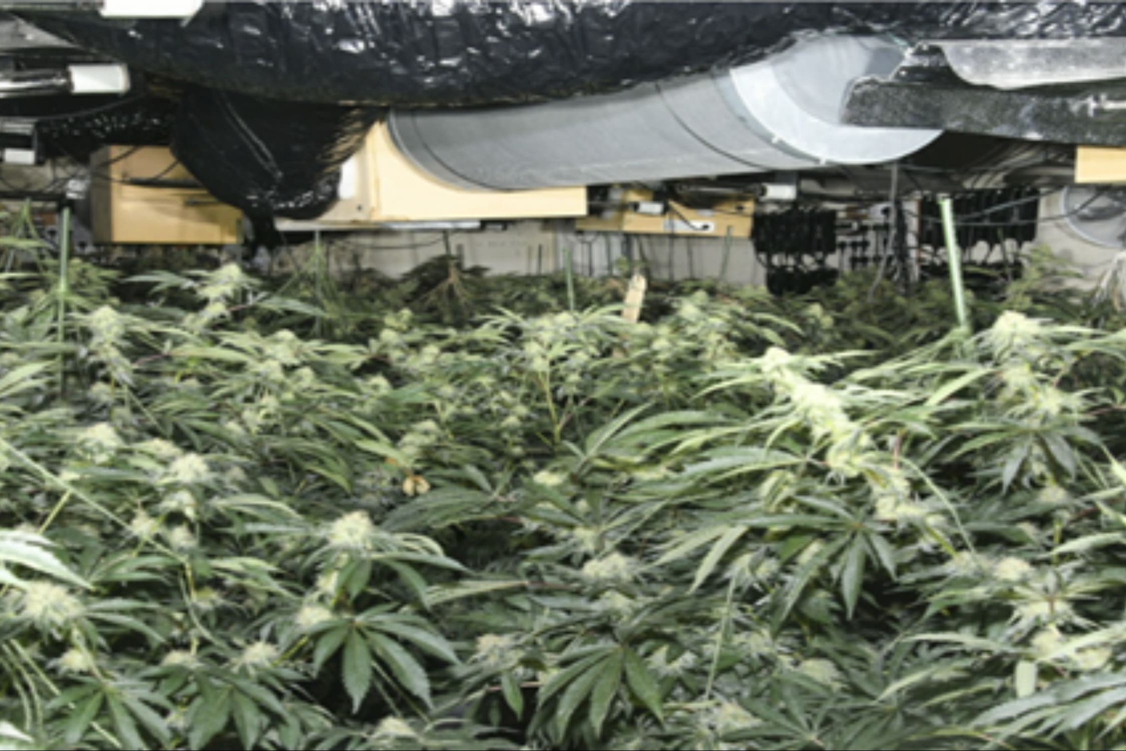 A cannabis farm was found in disused Irvine shopping centre (COPFS/PA)
