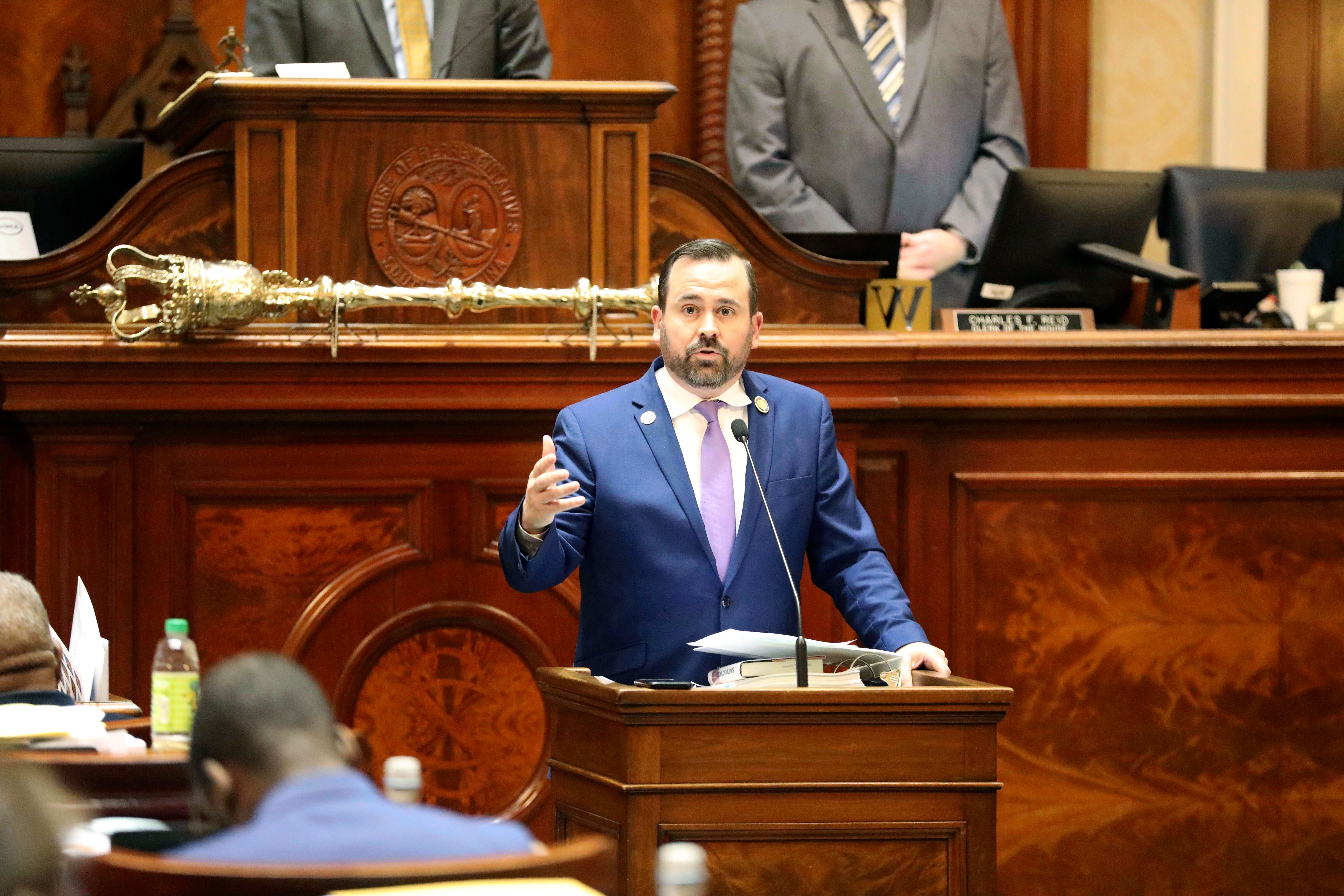 Family Leave-Stillbirth