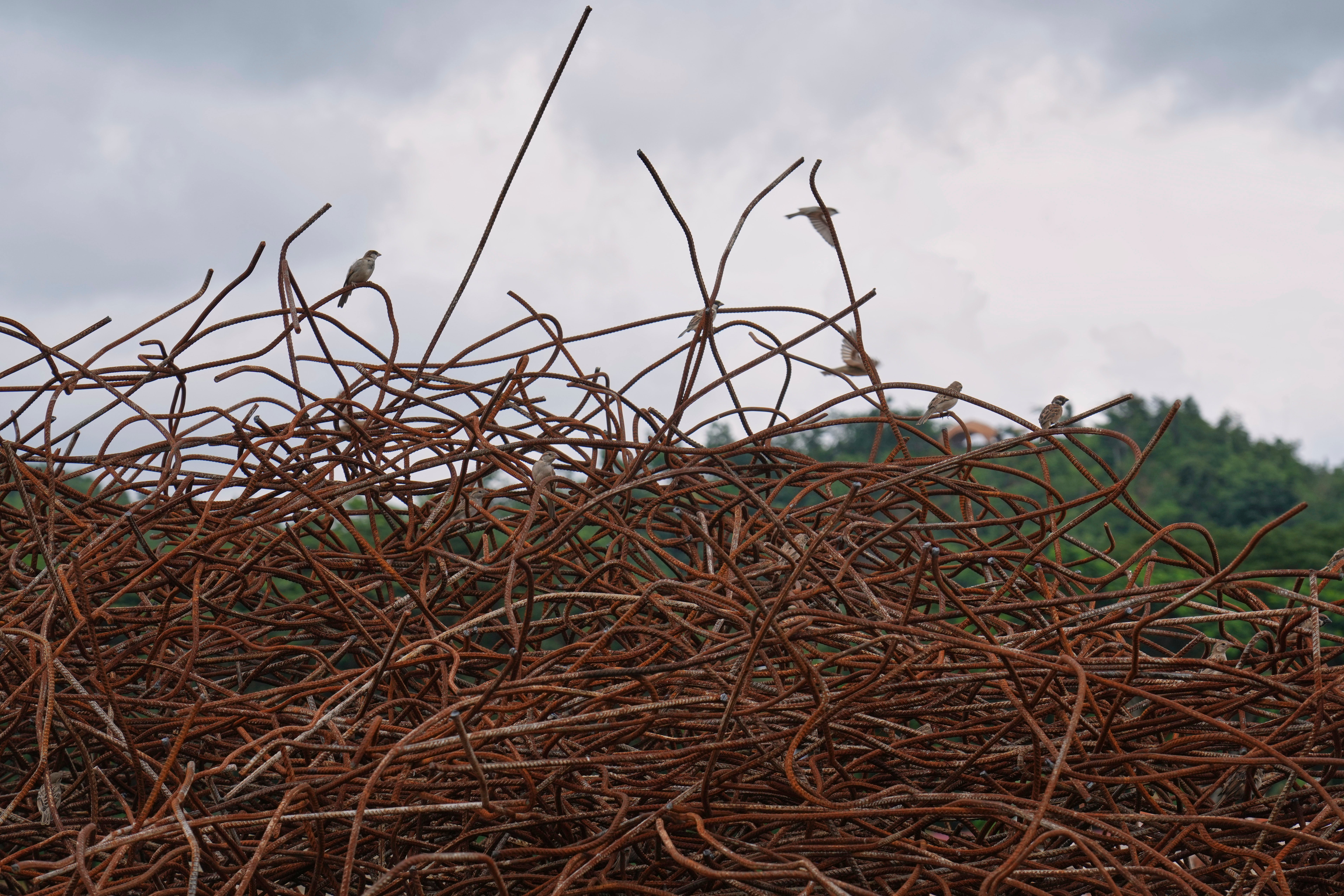 Myanmar Earthquake Photo Gallery