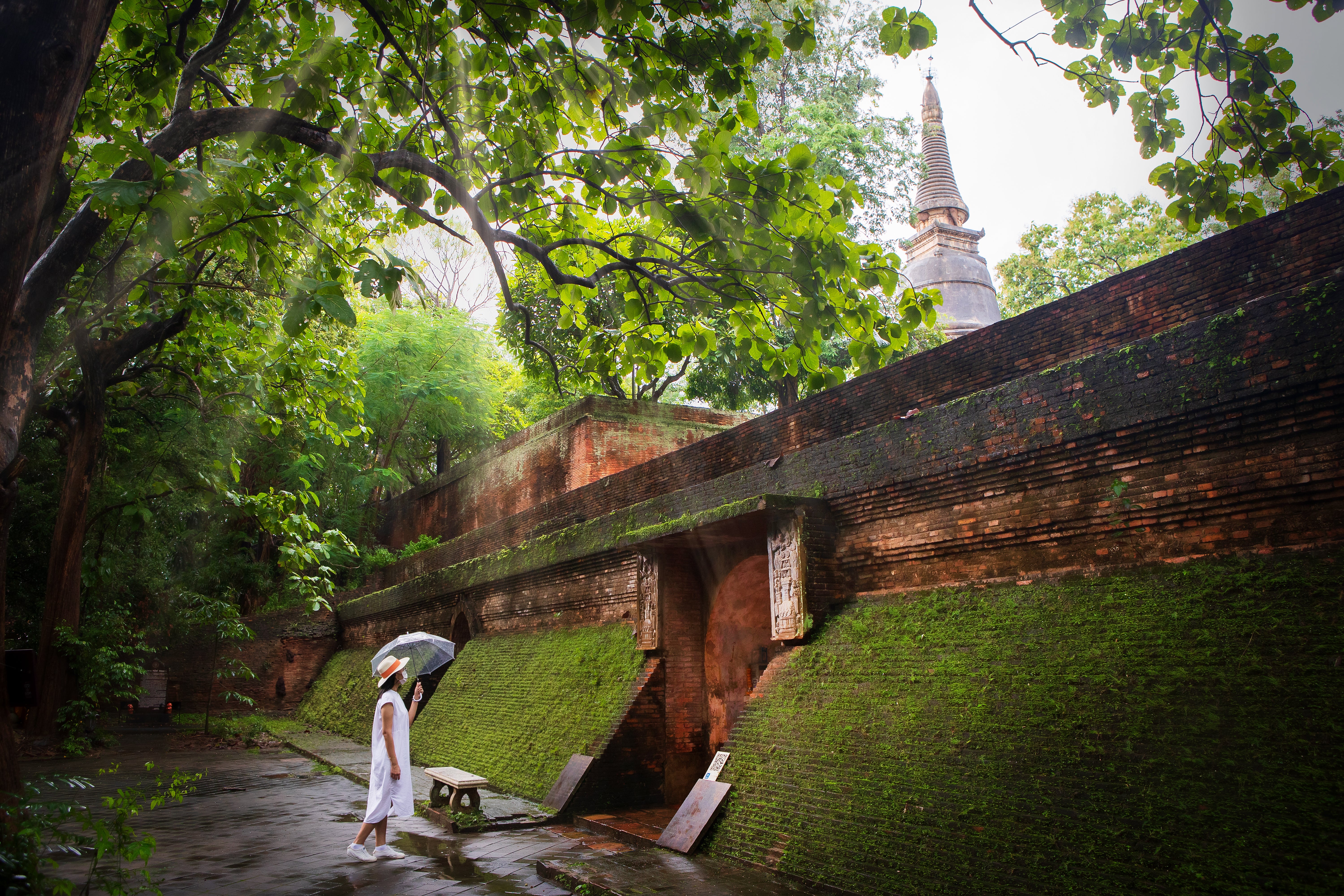 From sustainable travel and community projects, to the country’s incredible natural beauty, discover Thailand’s greenest cities