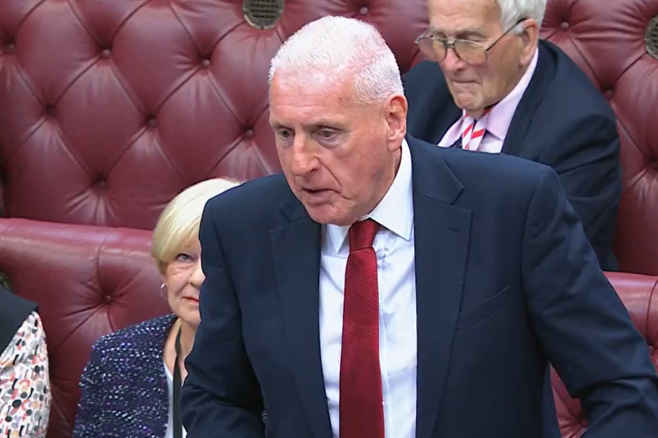 Lord Coaker speaking in the Lords (Parliament TV/PA)