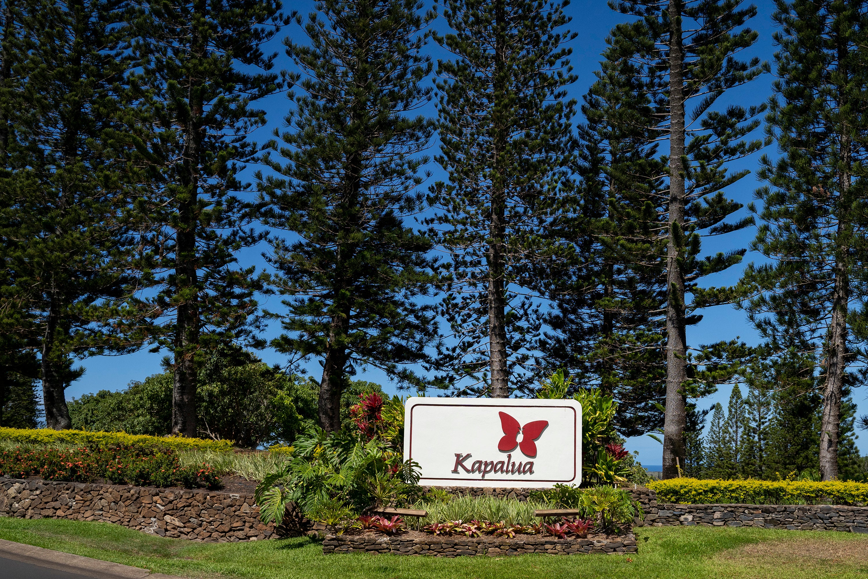 Kapalua Golf