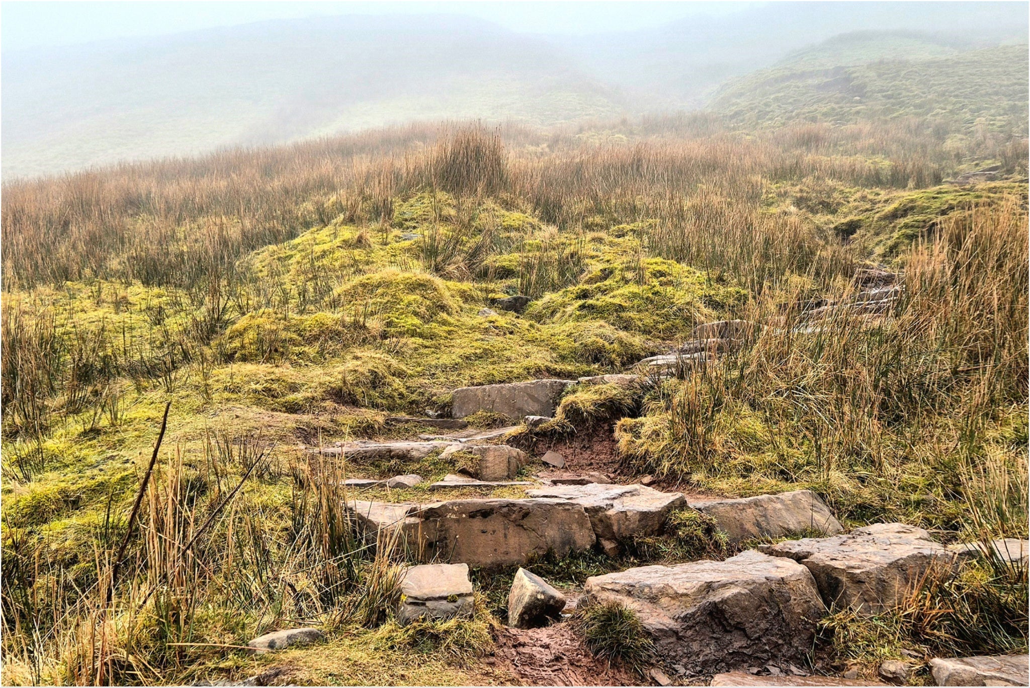 ‘The stunning backdrop behind me lowers into mist the farther we climb’
