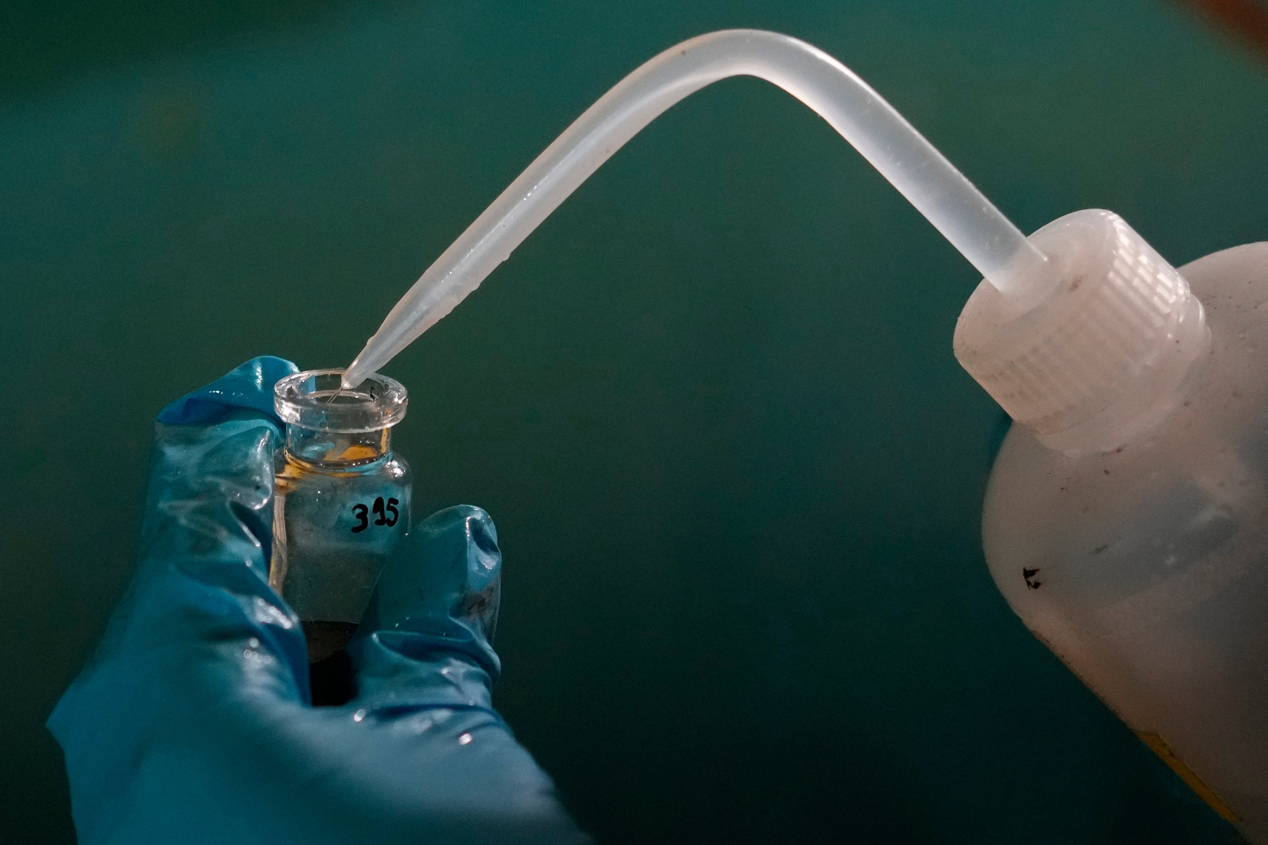 Expedition 501 researcher Jack Brickell prepares a sample vial for analysis aboard the Liftboat Robert platform in the North Atlantic, Sunday, July 20, 2025. (AP Photo/Carolyn Kaster)