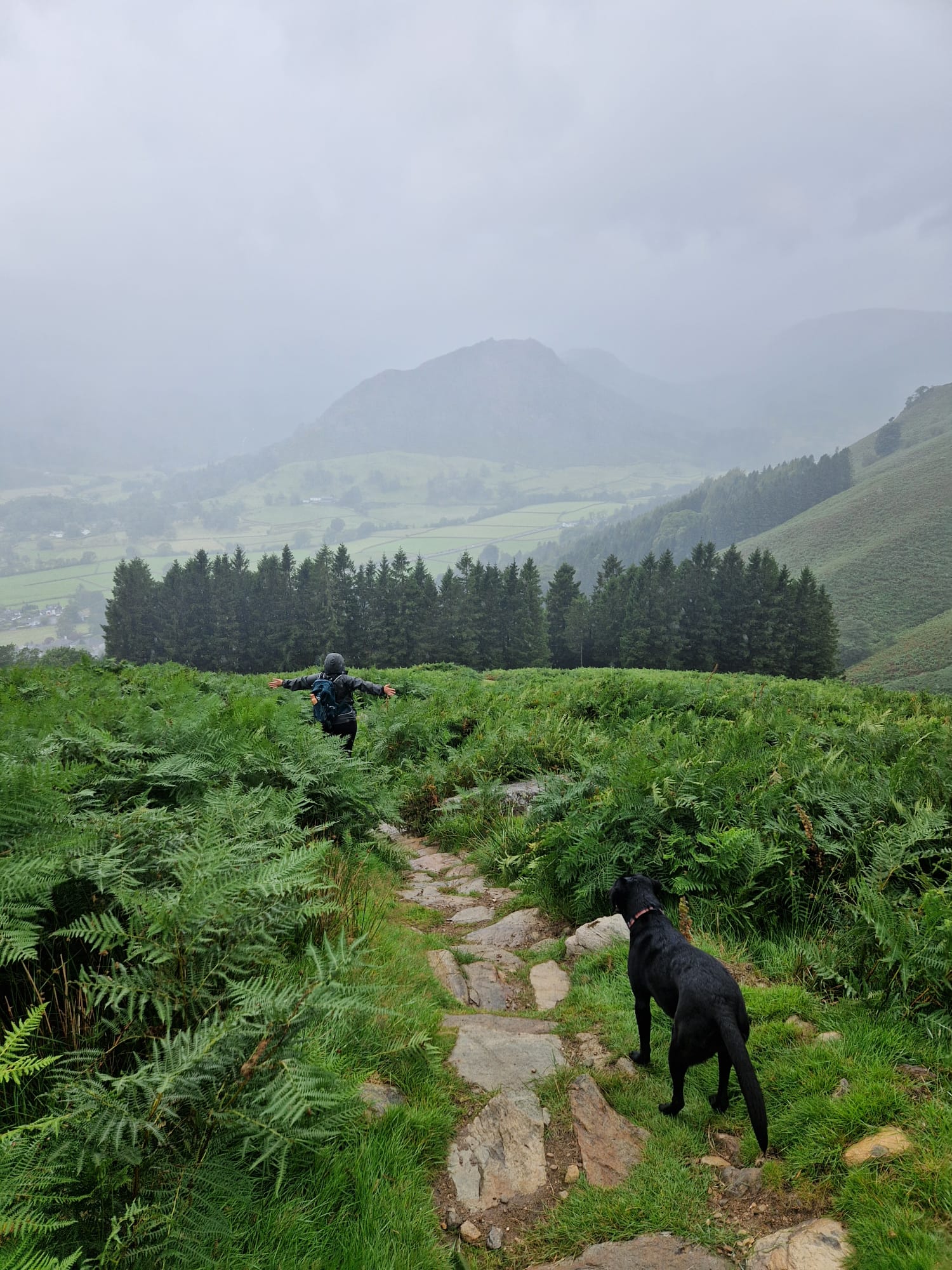 Elba the labrador also enjoyed the walk