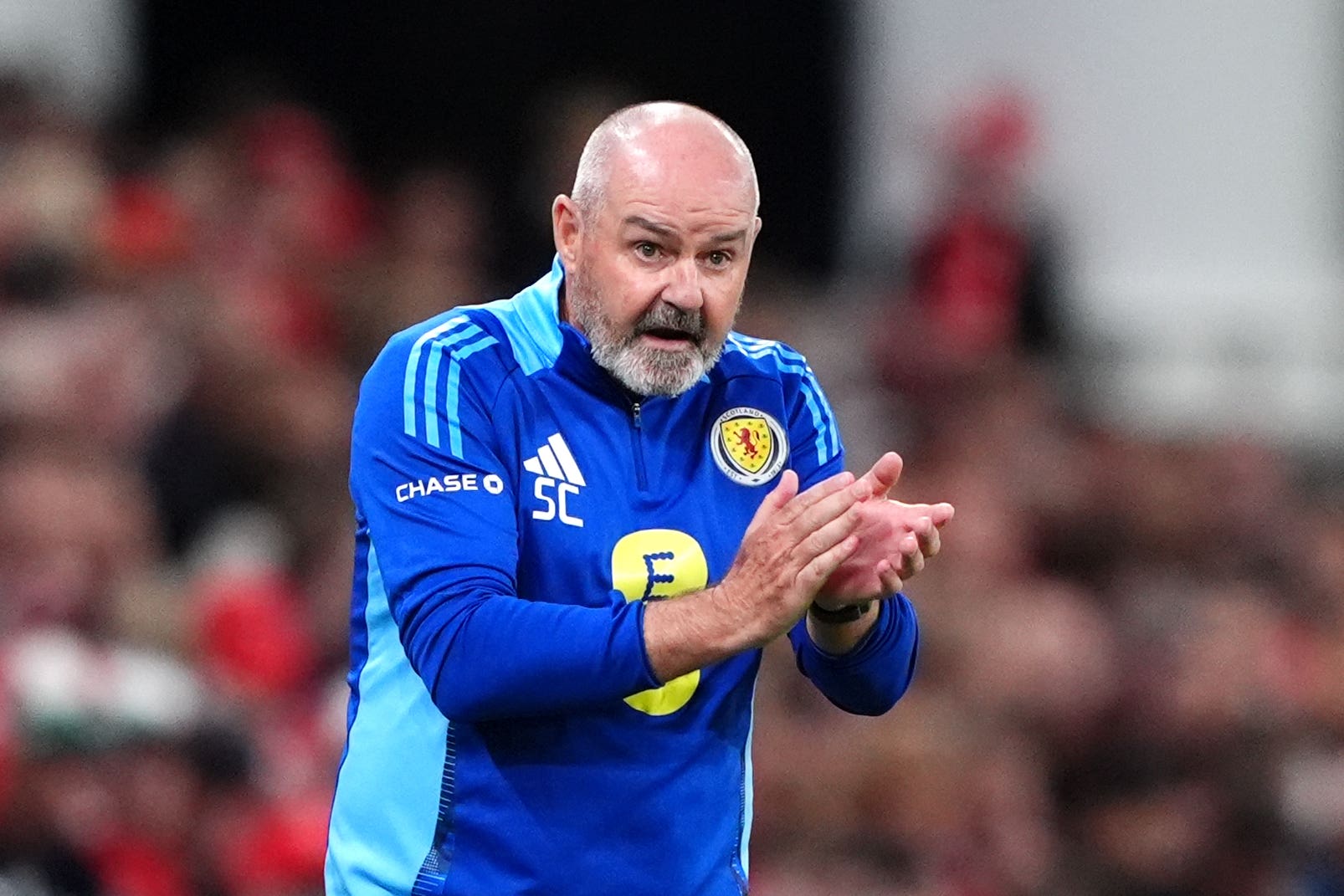 Scotland manager Steve Clarke praised the referee after their draw with Denmark (Andrew Milligan/PA).