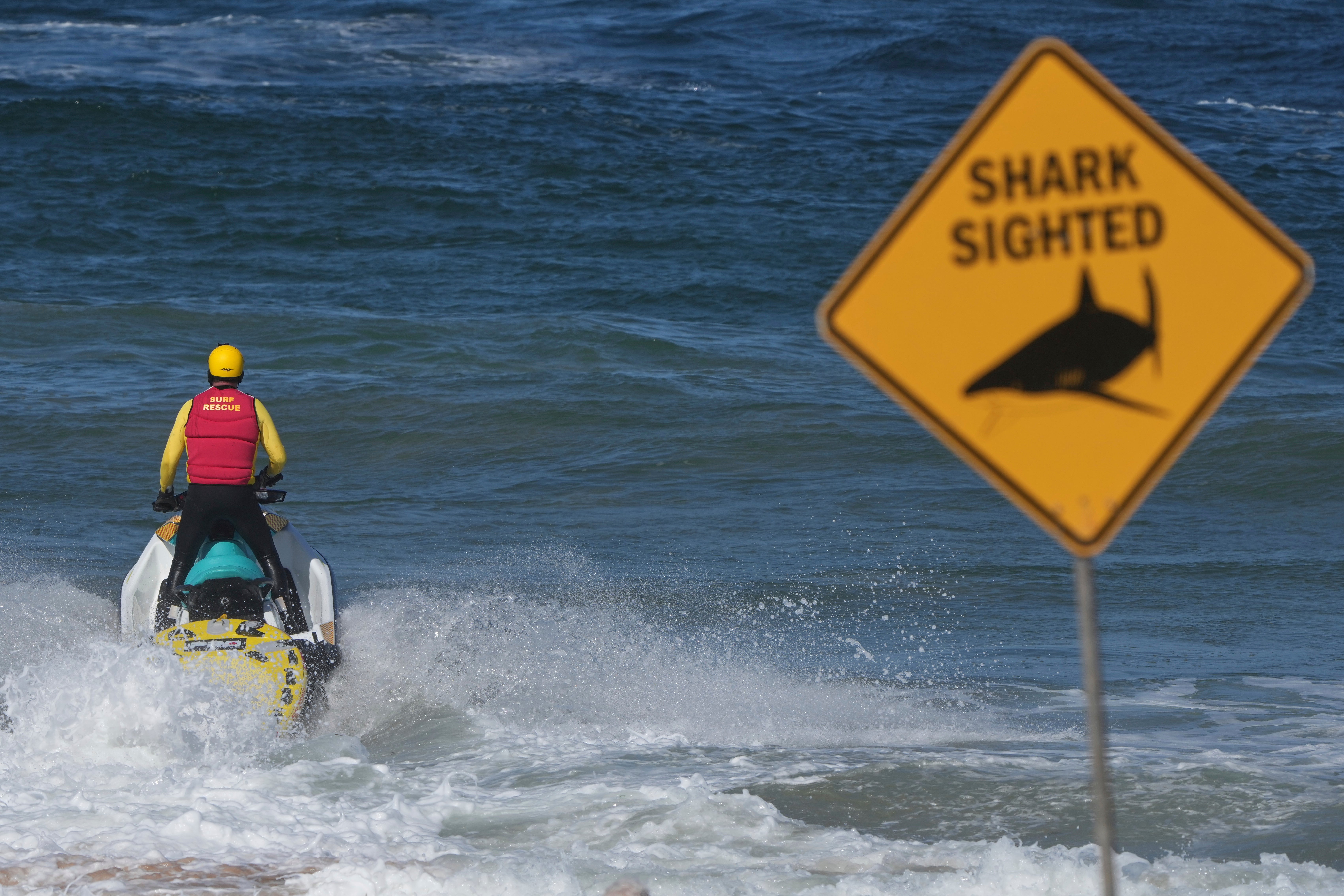 A surf lifesaver patrols a beach on a jetski following a fatal shark attack near Dee Why Beach in Sydney, Australia