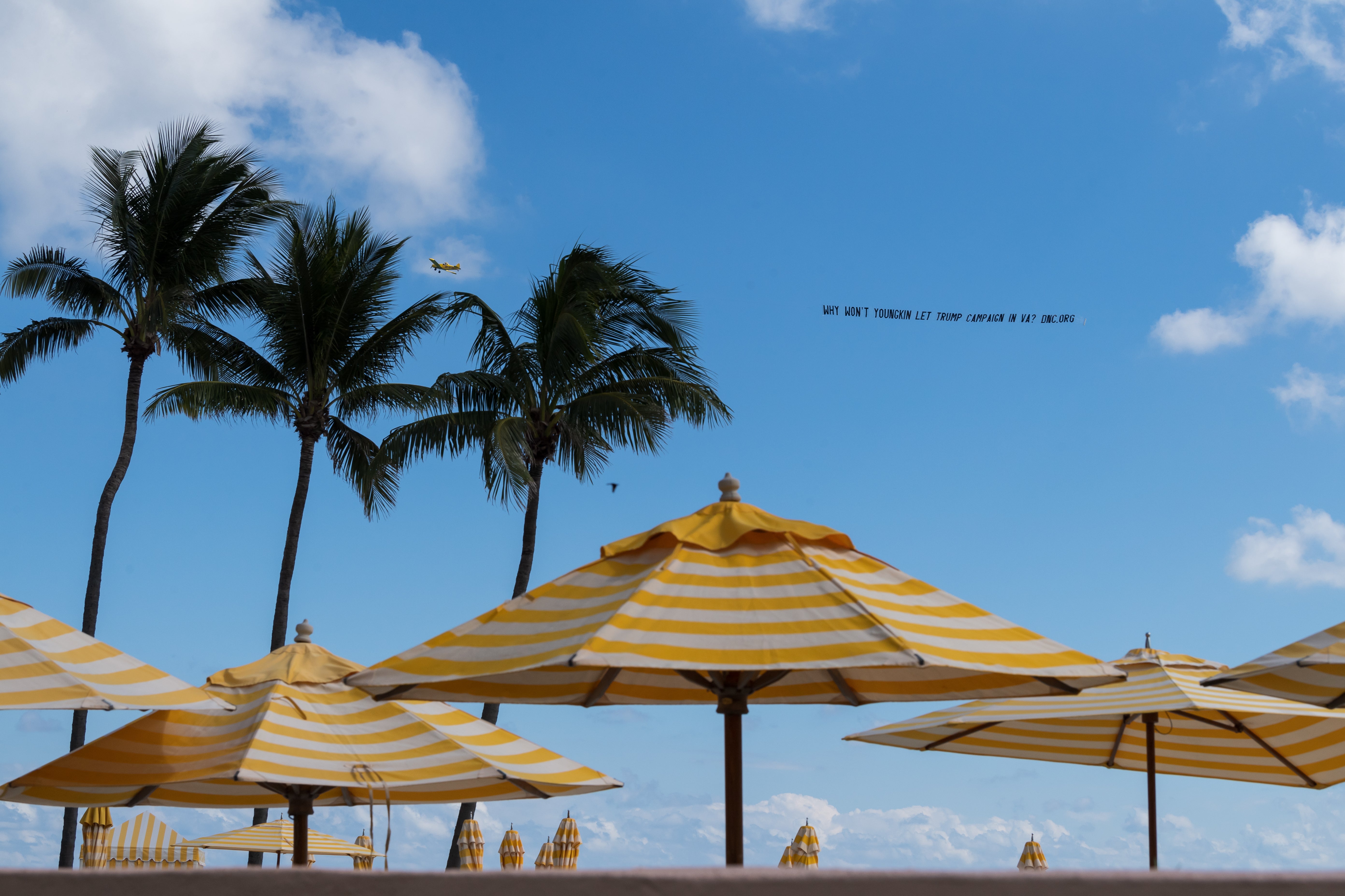 The Mar-a-Lago yellow and white beach umbrellas appeared to act as inspiration for the White House Rose Garden redesign