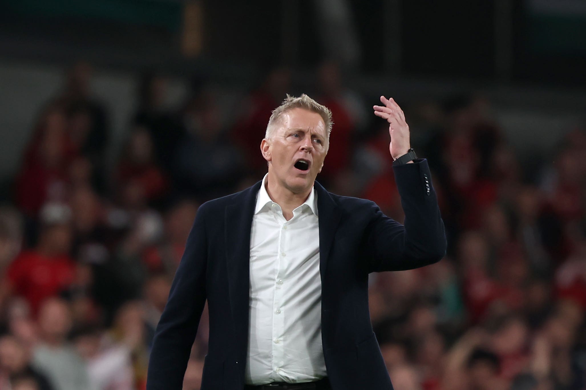 Republic of Ireland boss Heimir Hallgrimsson suffered mixed emotions as his side fought back to draw 2-2 with 10-man Hungary (Damien Eagers/PA)