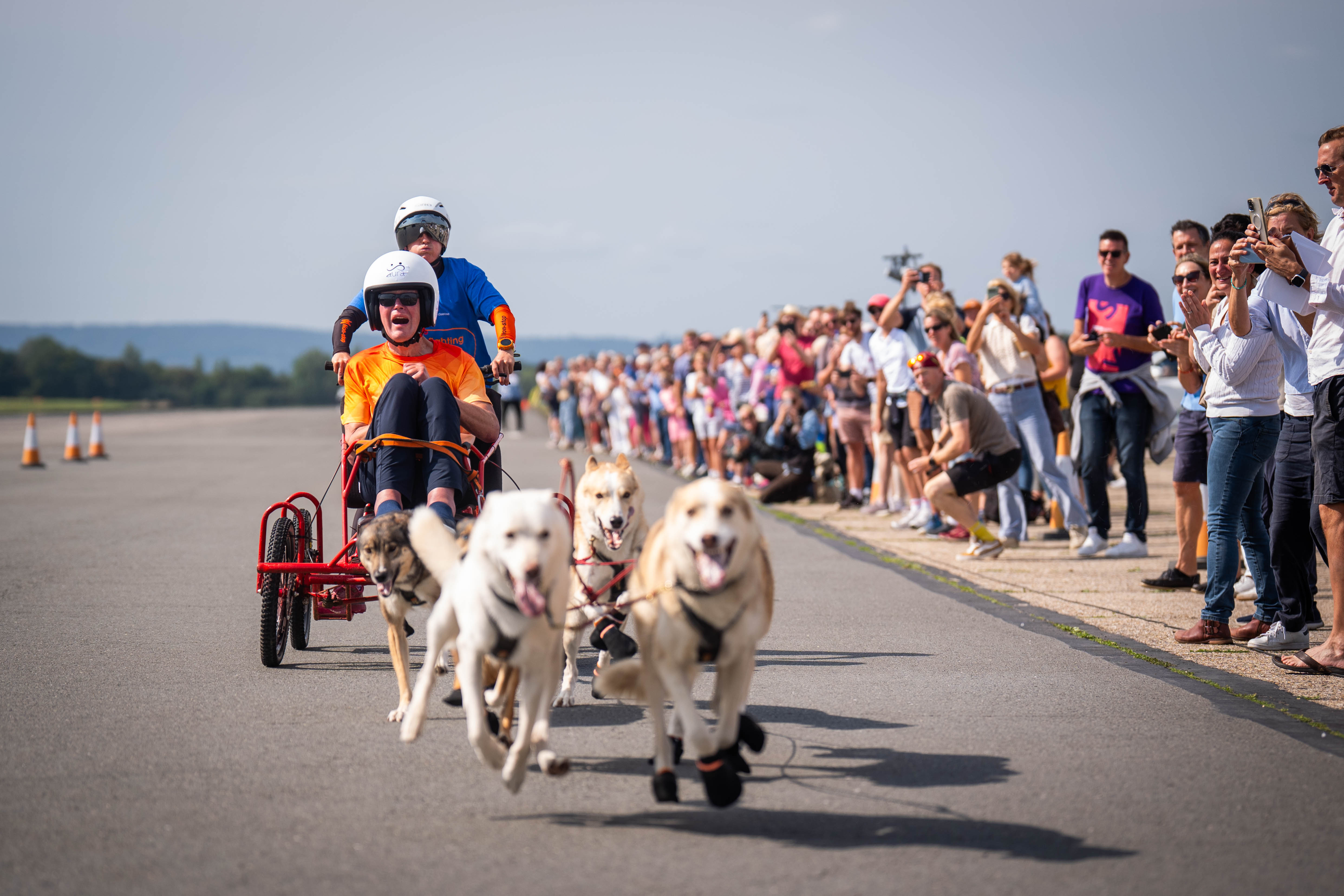 Paul being pulled by the huskies