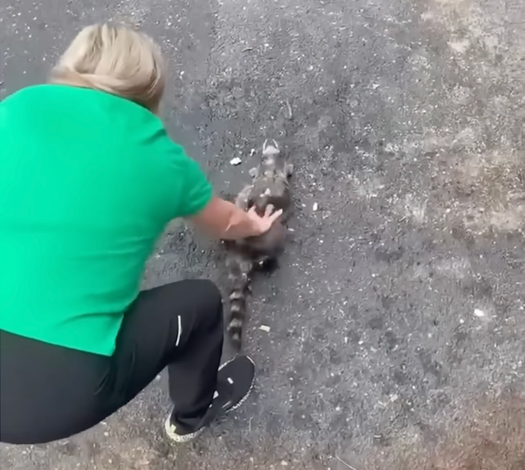 A nurse in Kentucky has gone viral after performing CPR on a raccoon that had passed out drunk after eating too many fermented peaches.