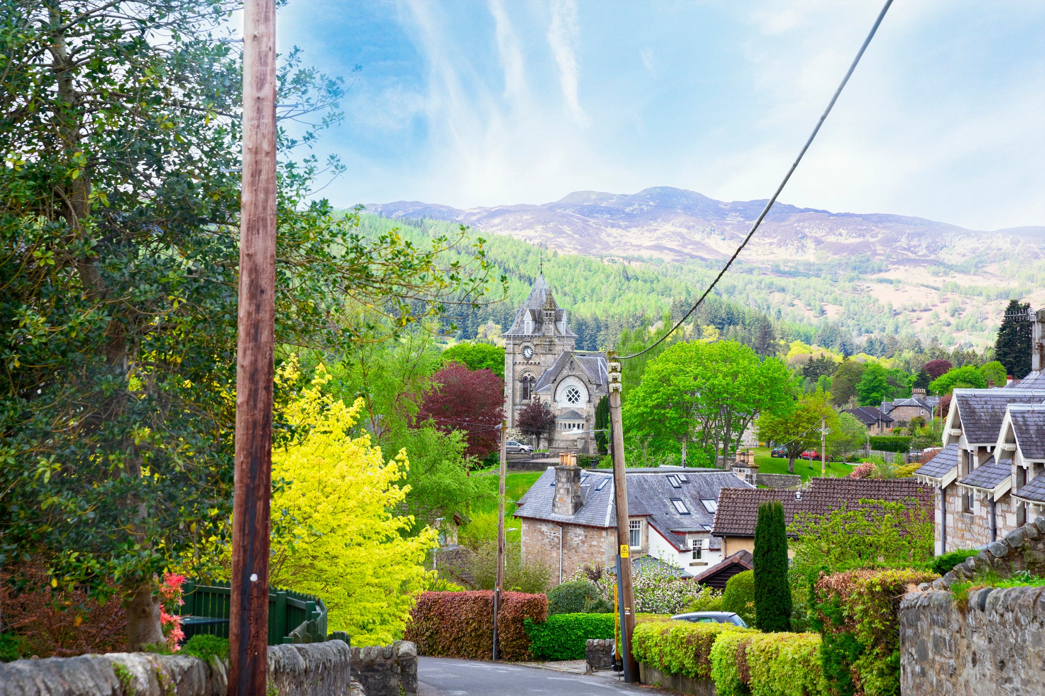 Pine Trees can be found in the resort town of Pitlochry, pictured here