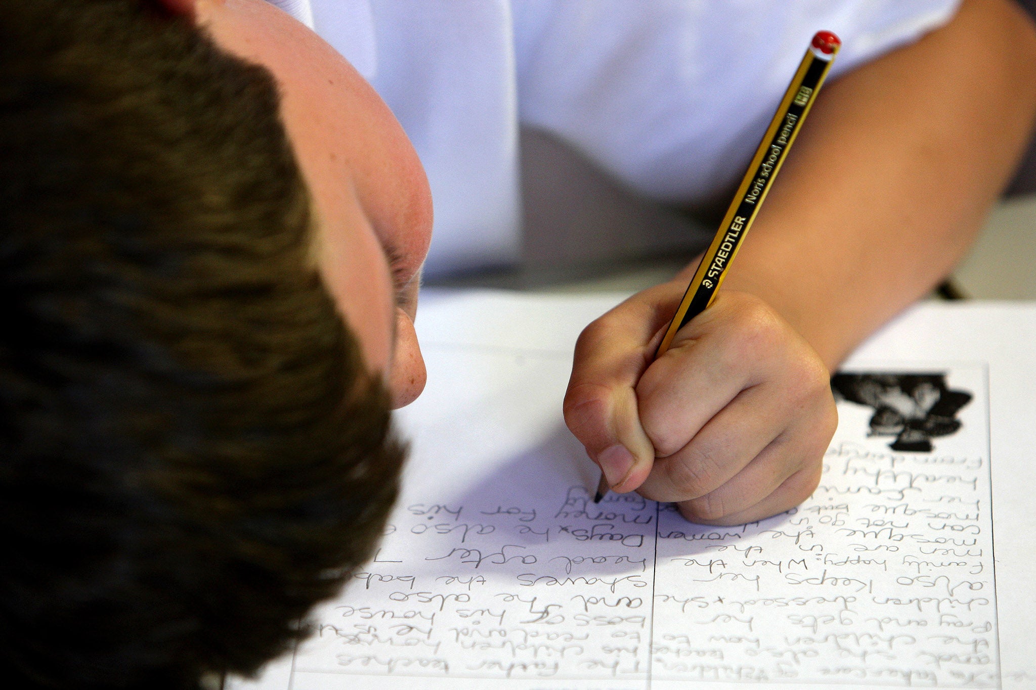 DLD support should include all a child’s languages