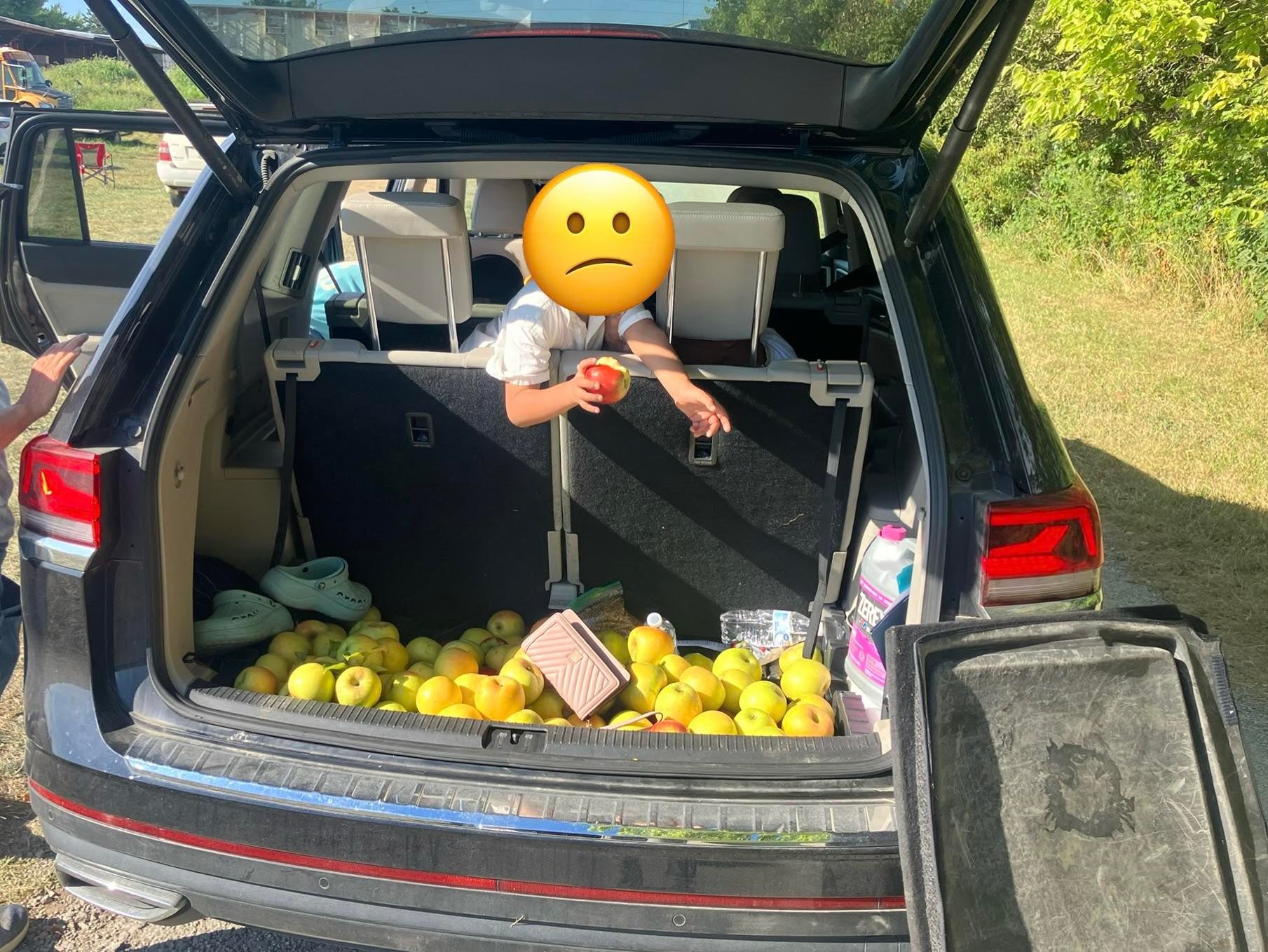 An Ohio apple orchard has been forced to take extra security measures following an increase in thefts, including one family that tried to steal $300 of apples.