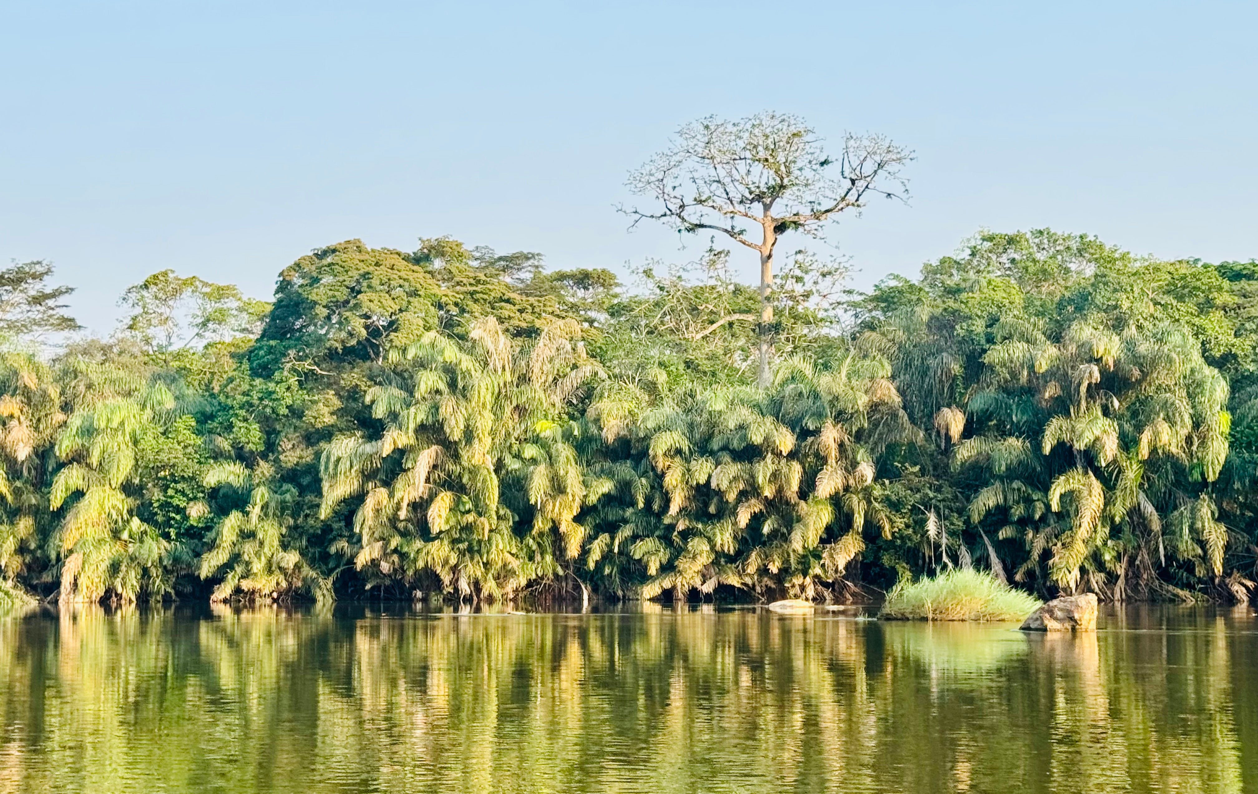 Tiwai Island was awarded Unesco World Heritage status in 2025