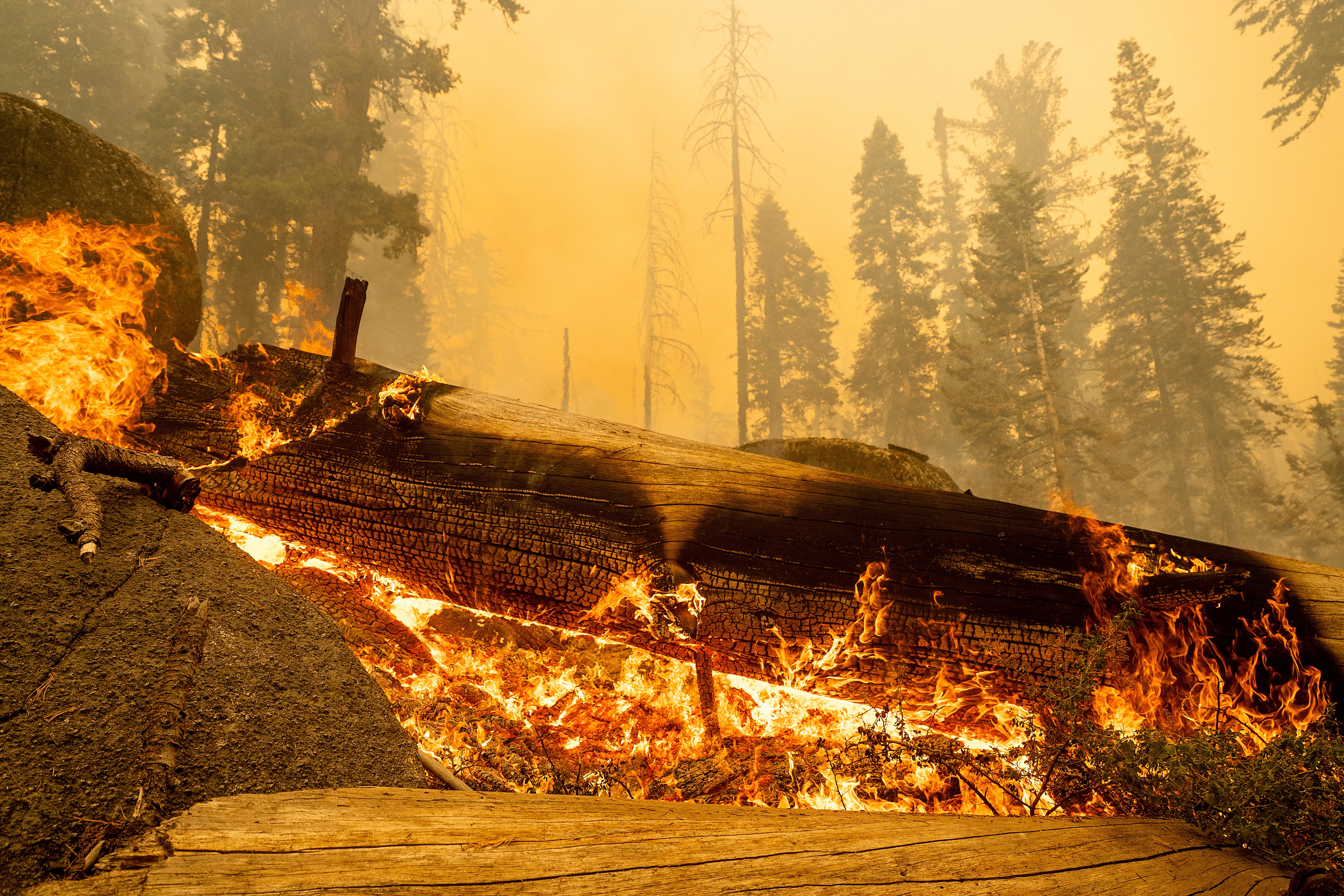 Extreme Weather California Wildfires