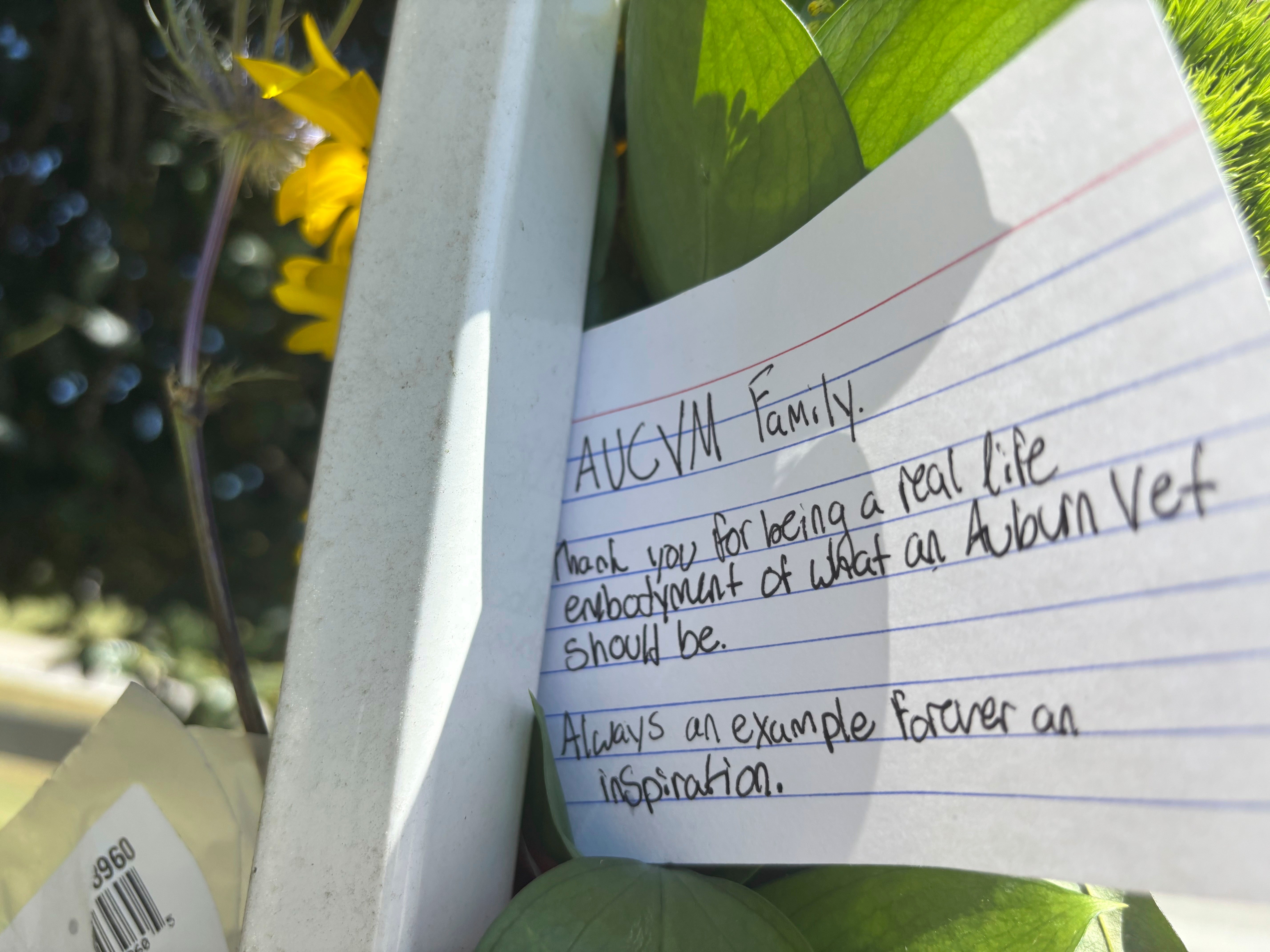 Park Homicide Alabama