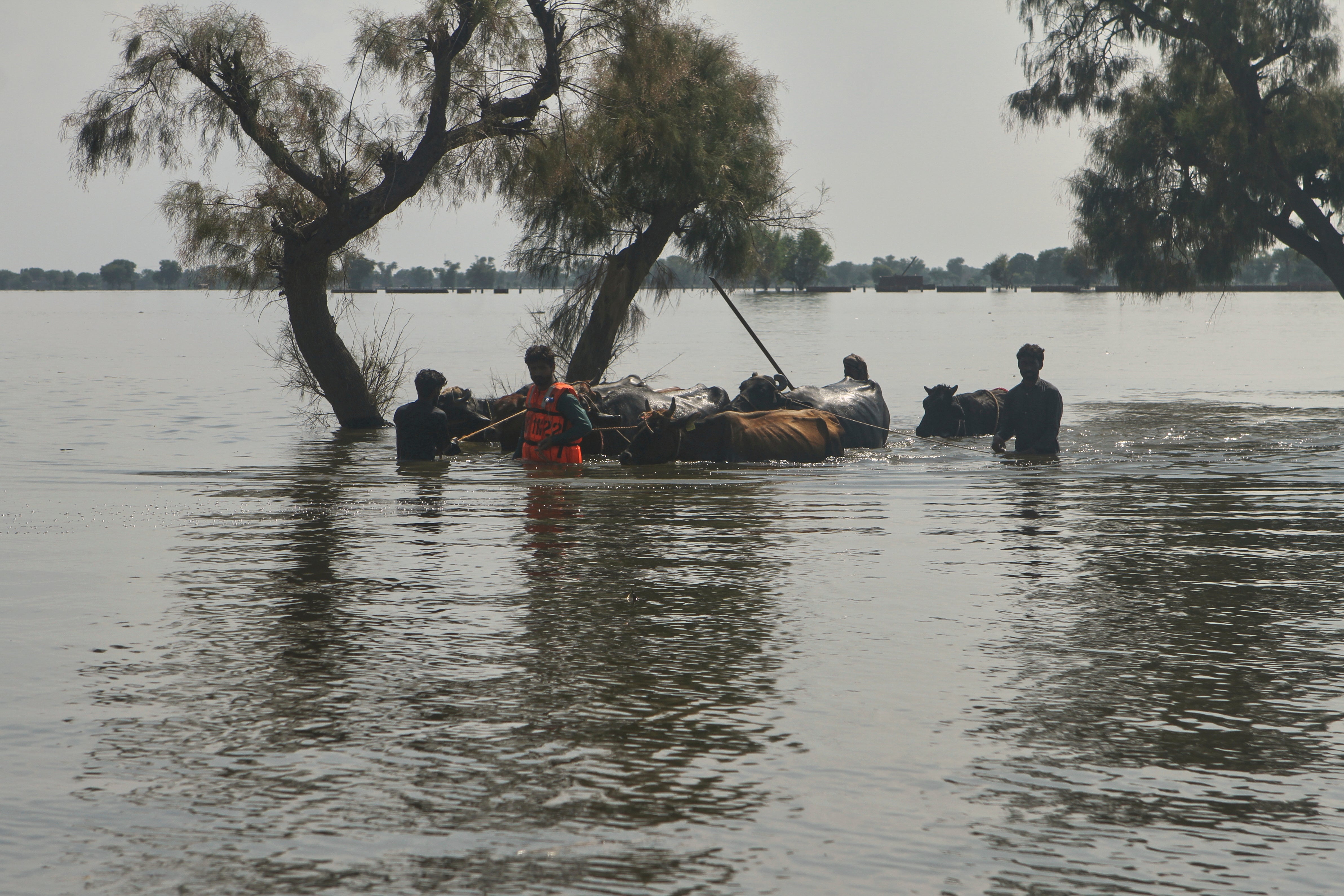 Pakistan Extreme Weather Floods