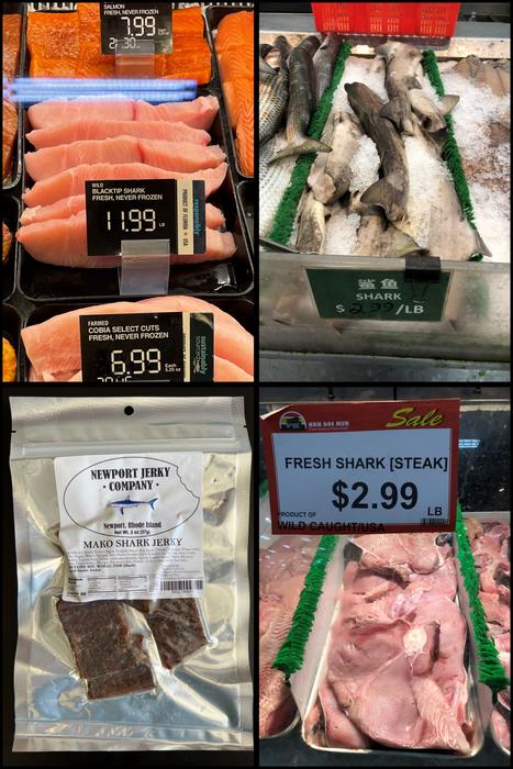 Of the shark meat purchased for the study, 93 percent was ambiguously labeled
