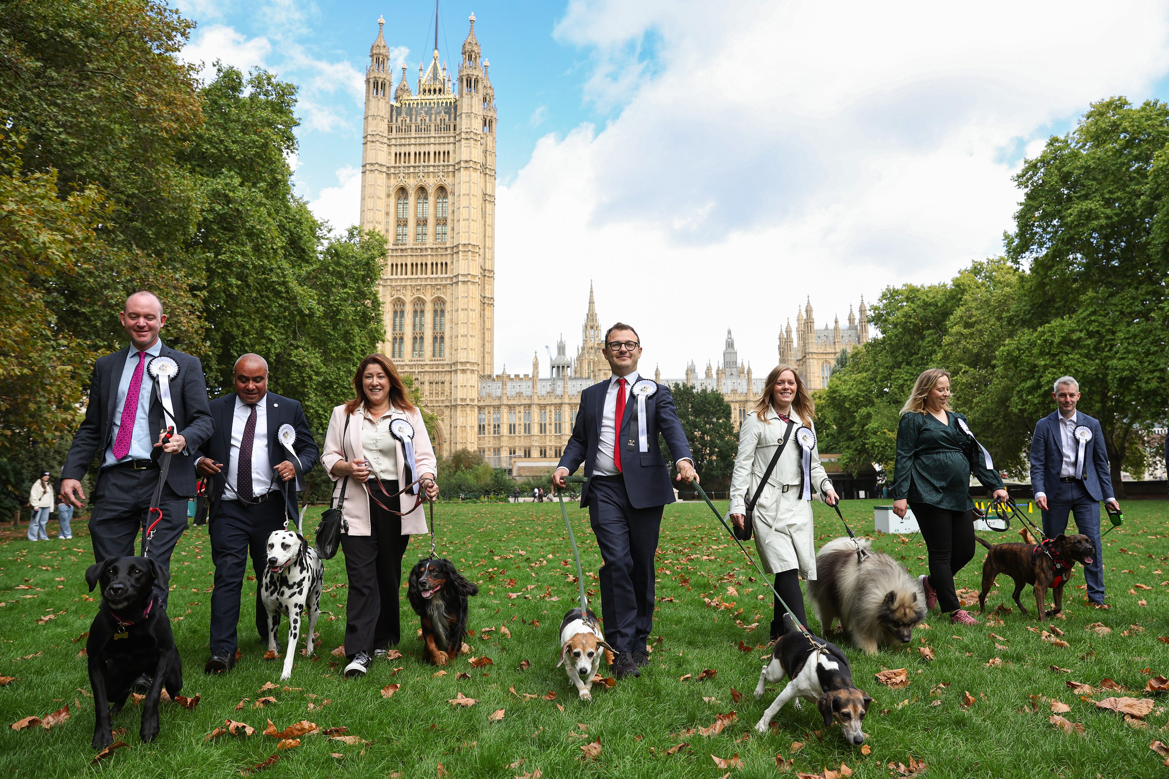 MPs walk with their dogs (Kieran Cleeves Media Assignments)