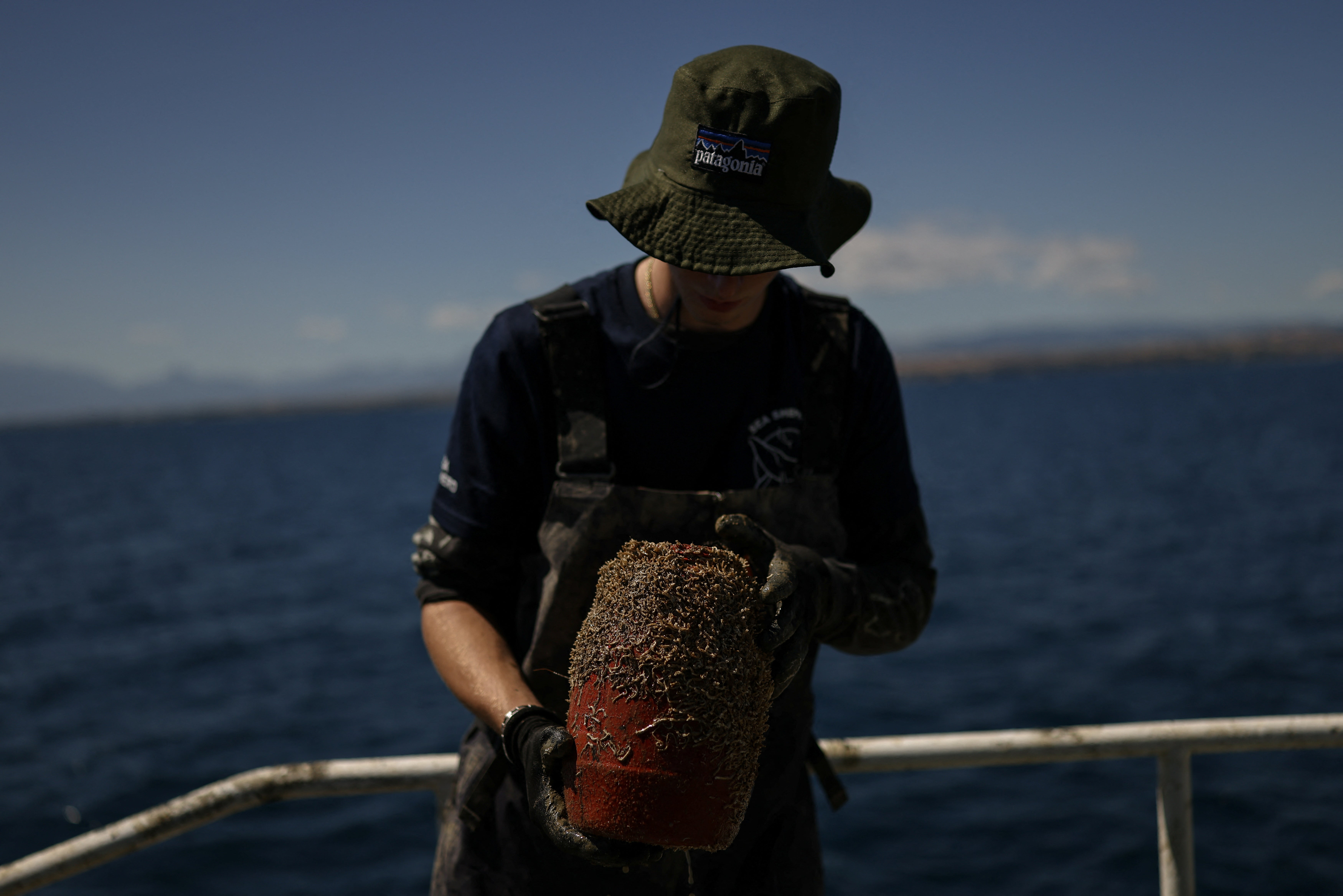 The barrel-shaped traps resemble the dens where octopuses typically like to shelter