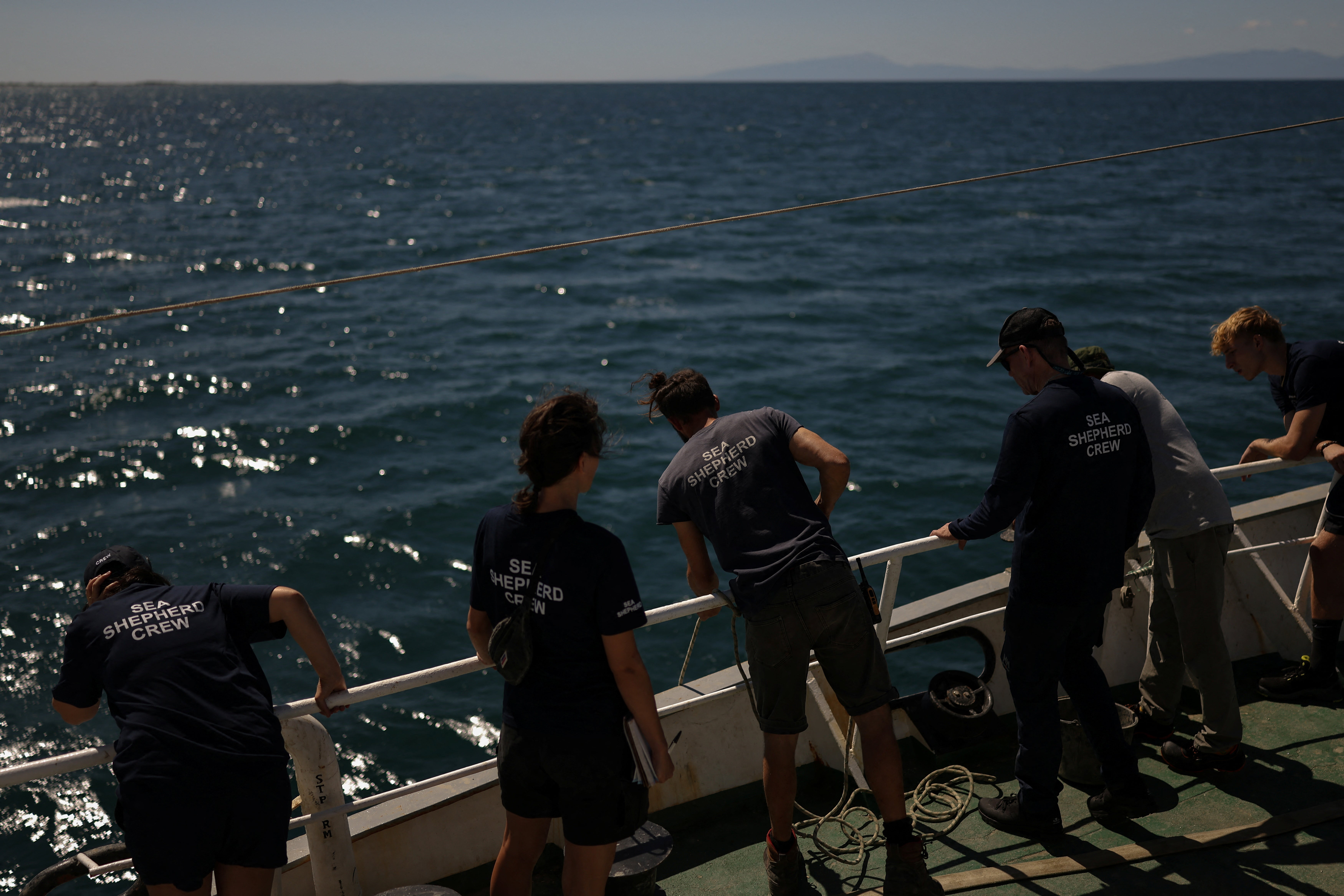 Sea Shepherd crew members lower a rope into the sea to release an octopus