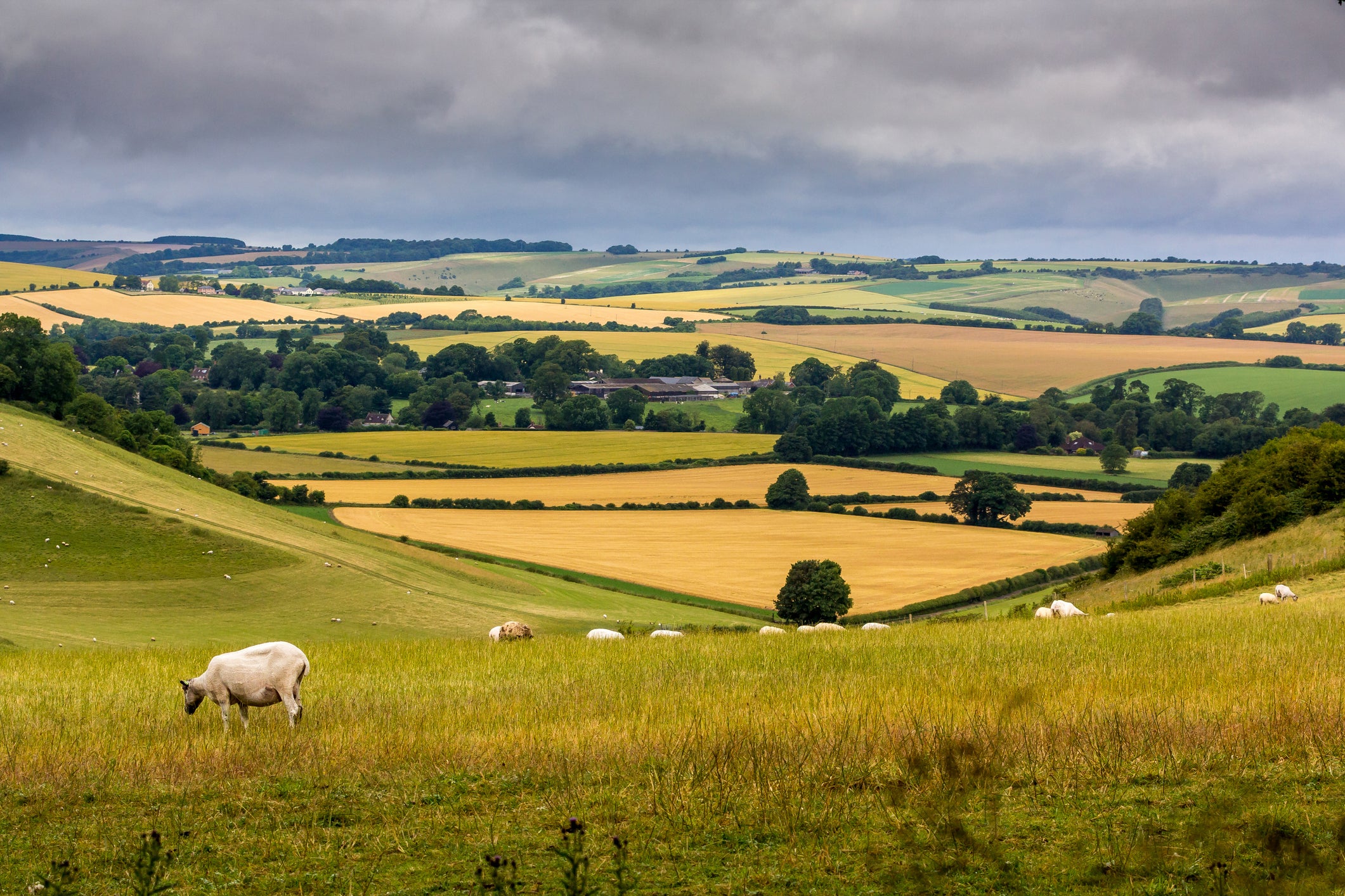 Water from Hampshire was legally transported to fill the lake at Stephen Schwarzman’s property in neighbouring Wiltshire