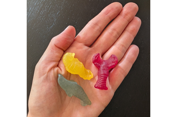 indybest best trader joe's snacks review Trader Joe's scandinavian swimmers