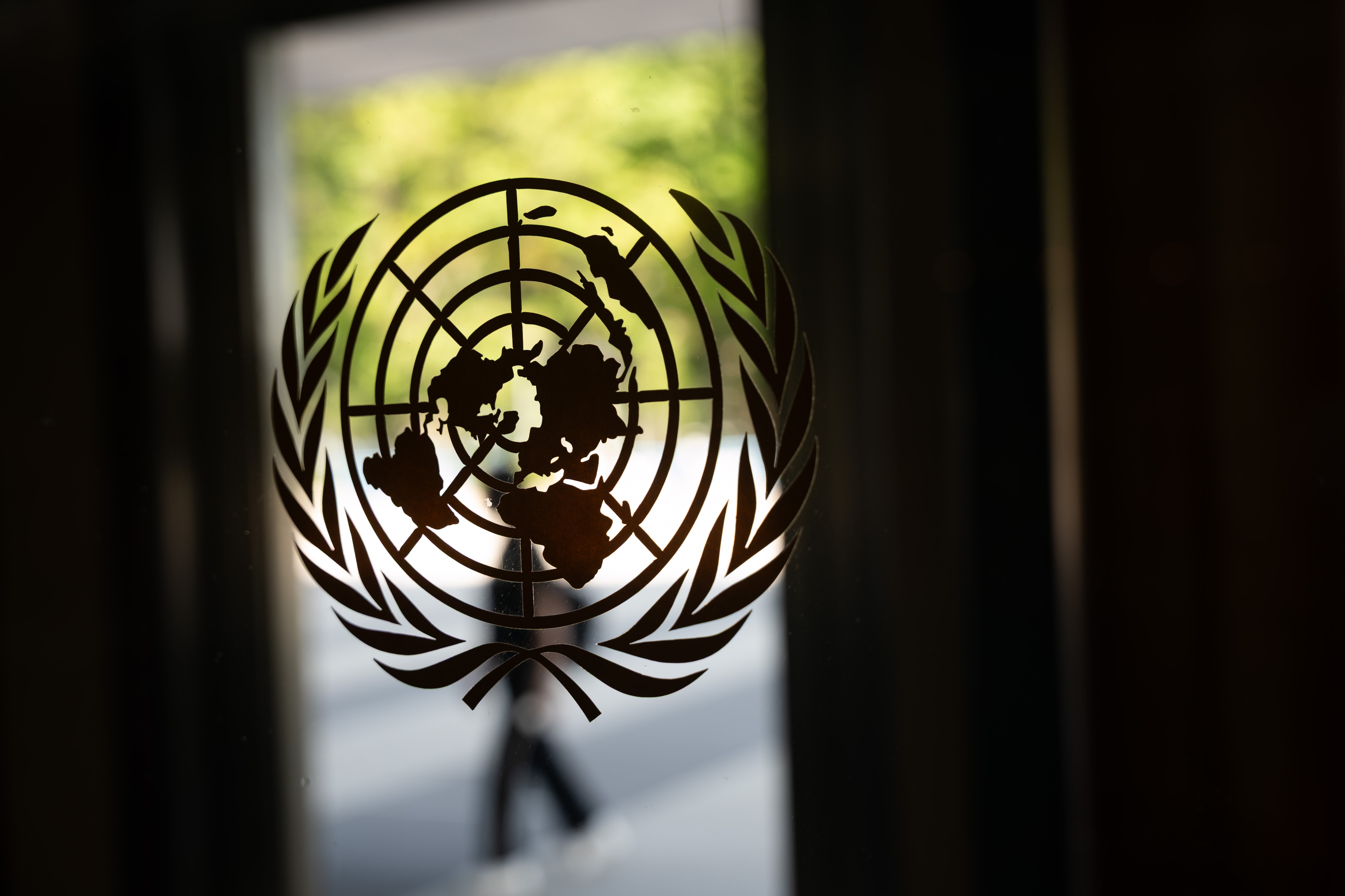 Experts from the United Nations (UN) have urged the government to scrap upcoming changes to disability benefits