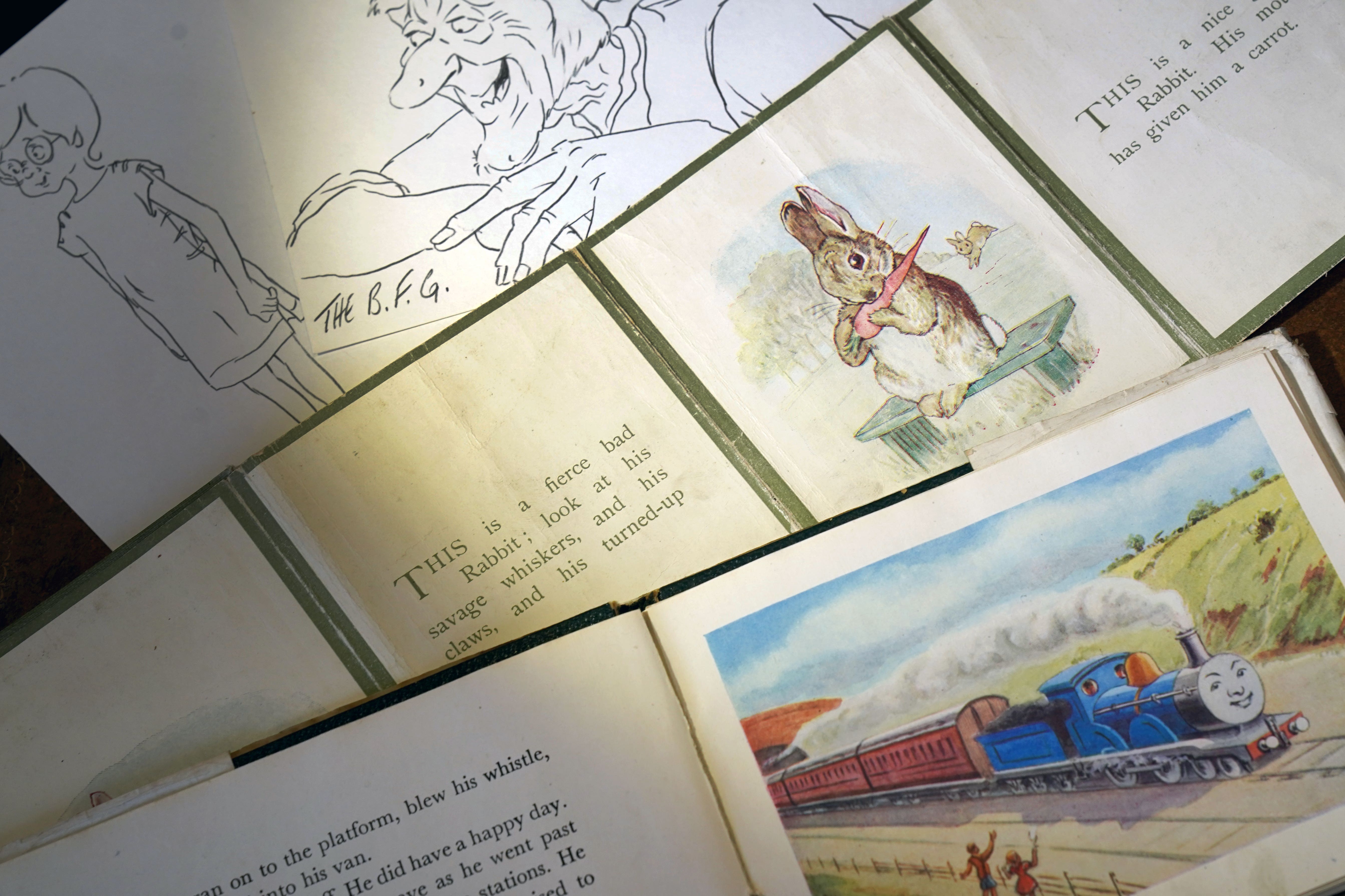 Early works by Quentin Blake, Beatrix Potter and Rev W Awdry are going under the hammer (Gareth Fuller/PA)