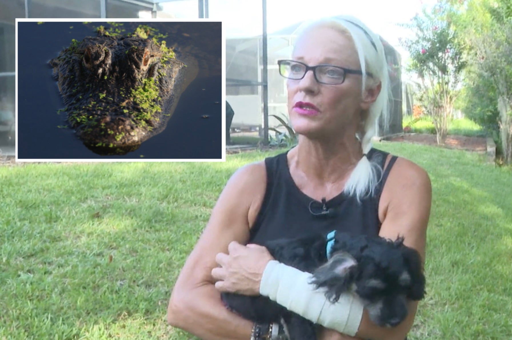 Danie Wright of Florida, fought off a five-foot alligator with her bare hands after it attacked her four-month-old puppy