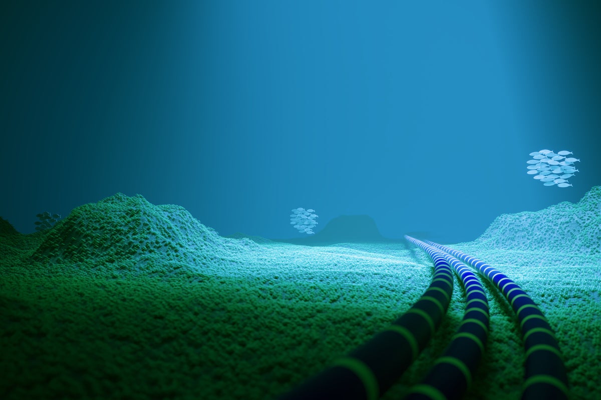 Cables no thicker than a hose, why our perilous internet could be brought down in a snip